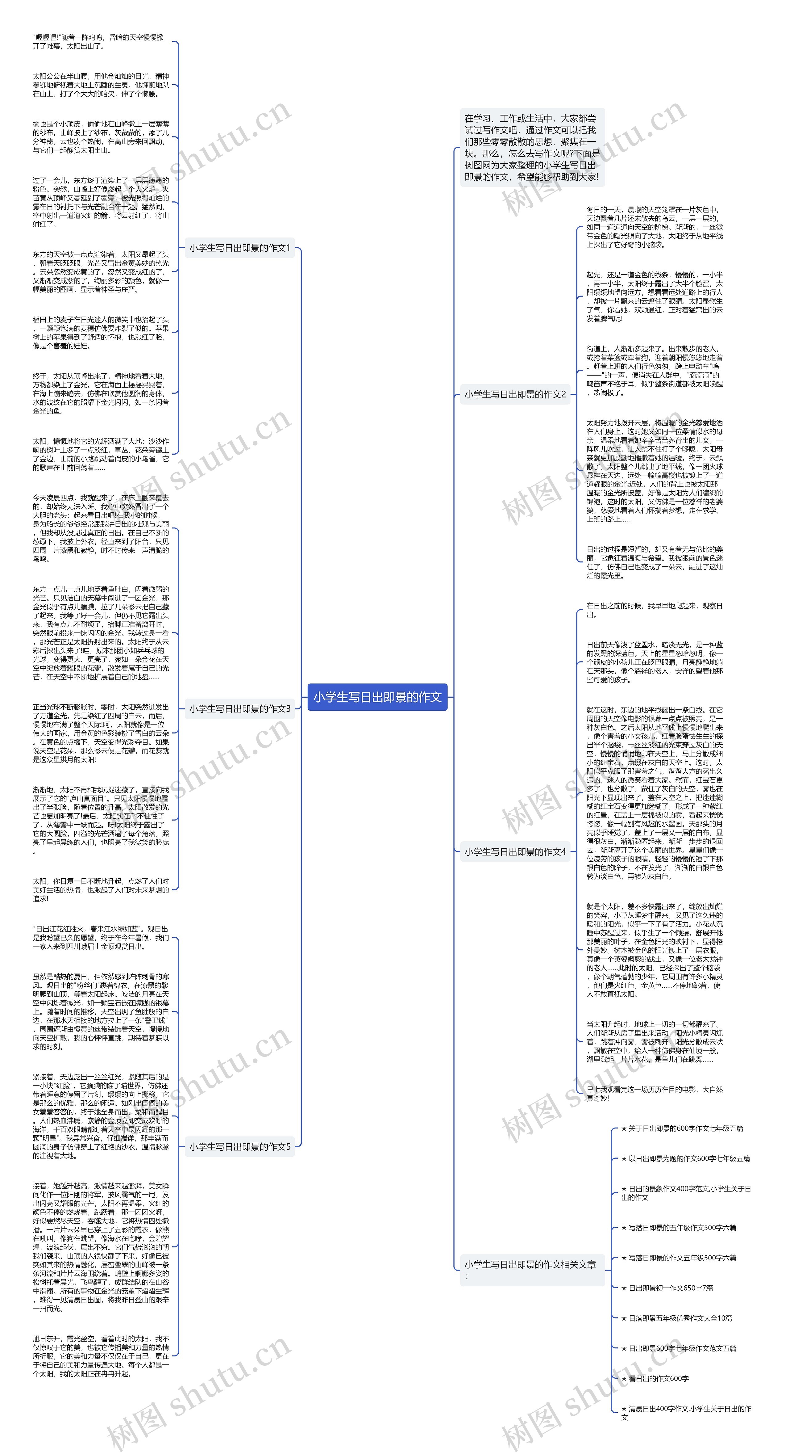 小学生写日出即景的作文思维导图
