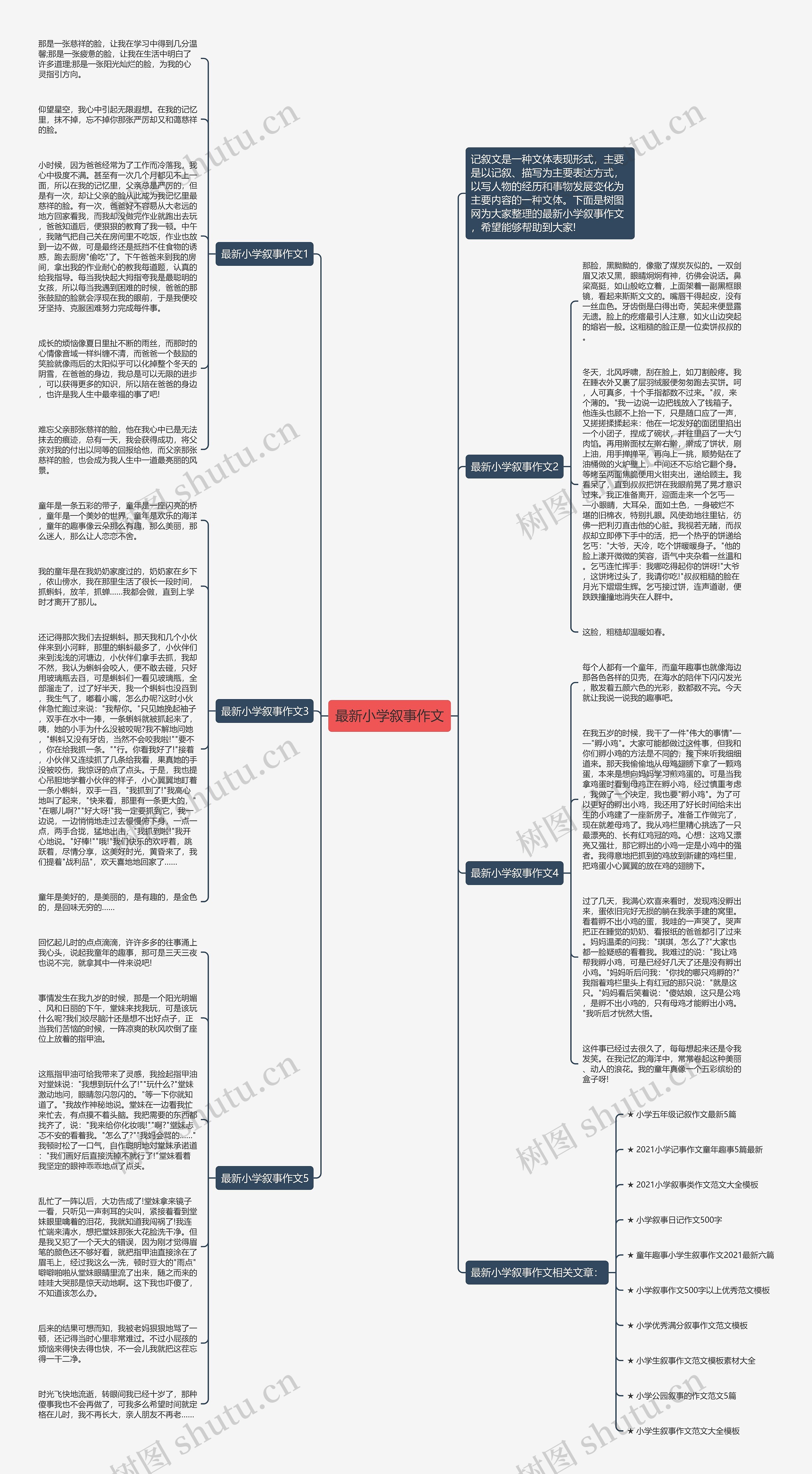 最新小学叙事作文思维导图