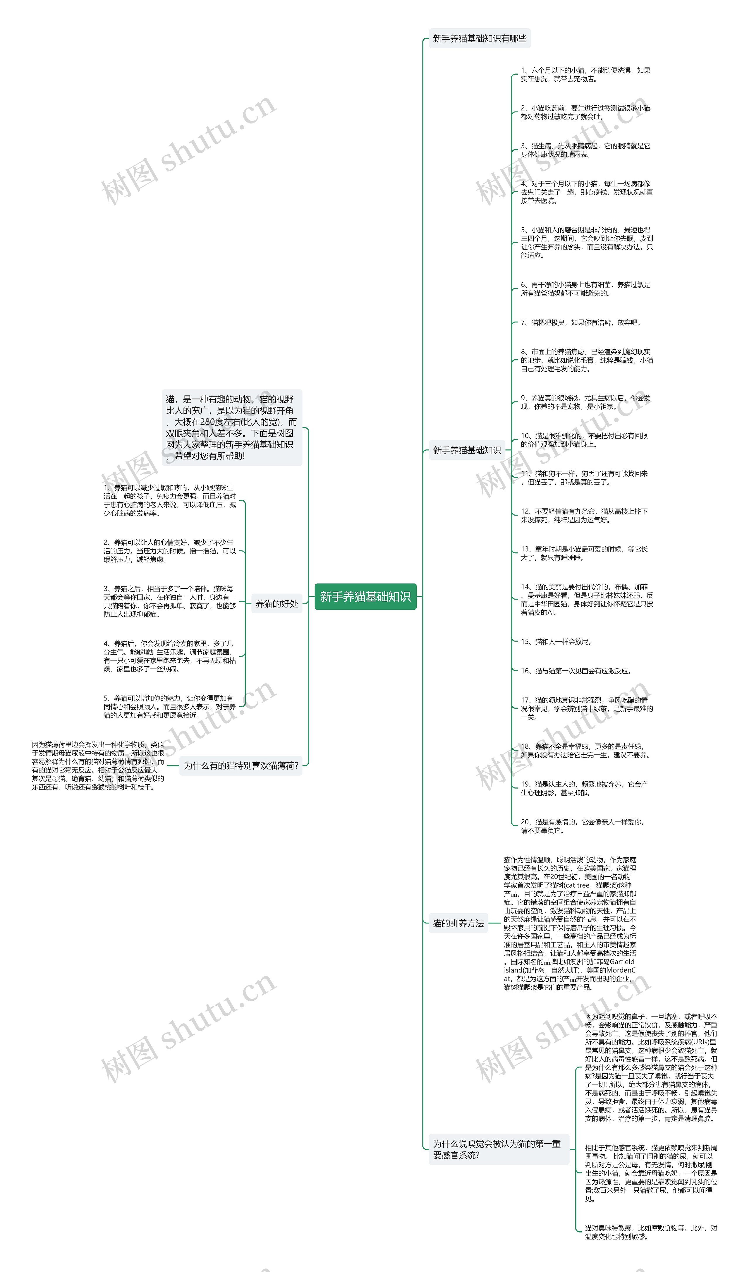 新手养猫基础知识思维导图