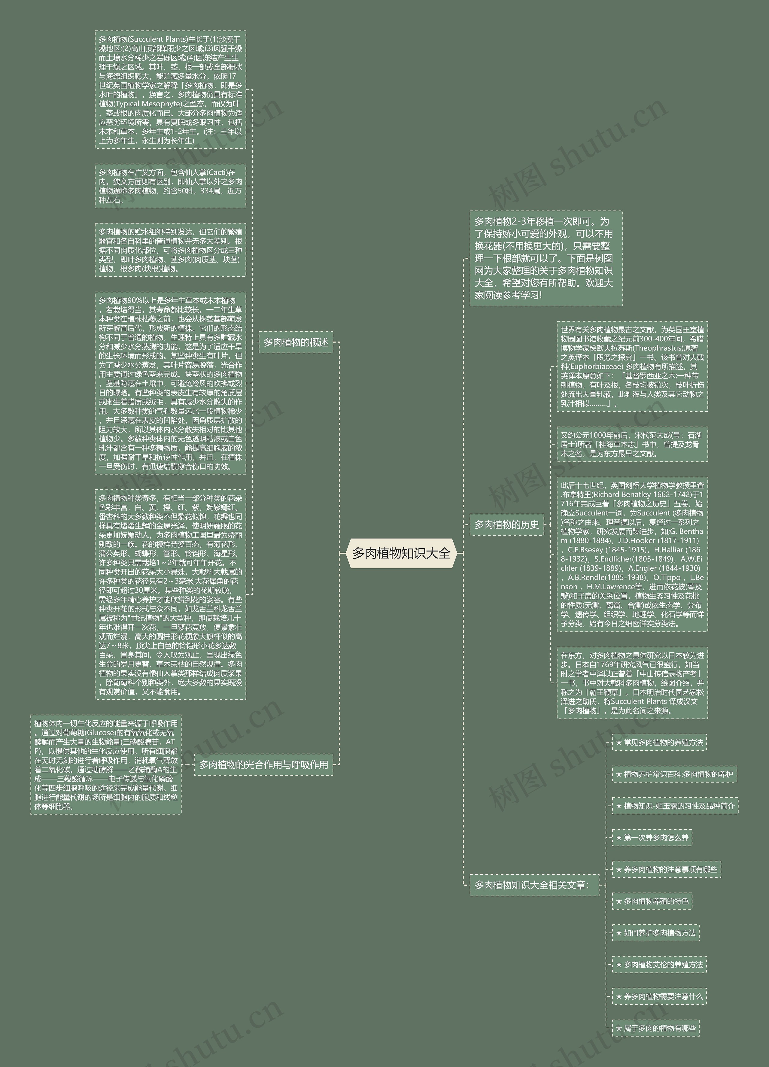 多肉植物知识大全思维导图