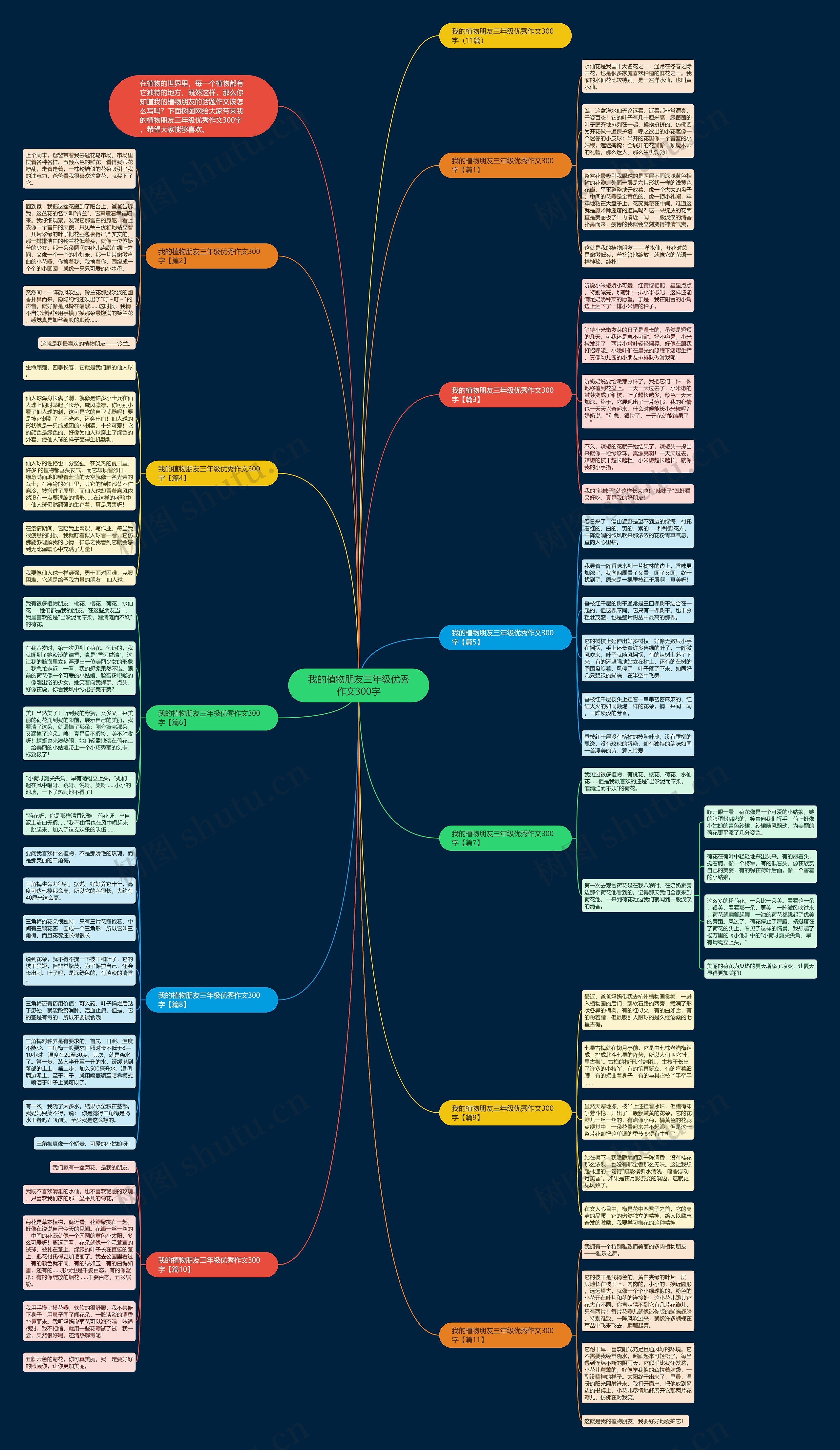 我的植物朋友三年级优秀作文300字思维导图