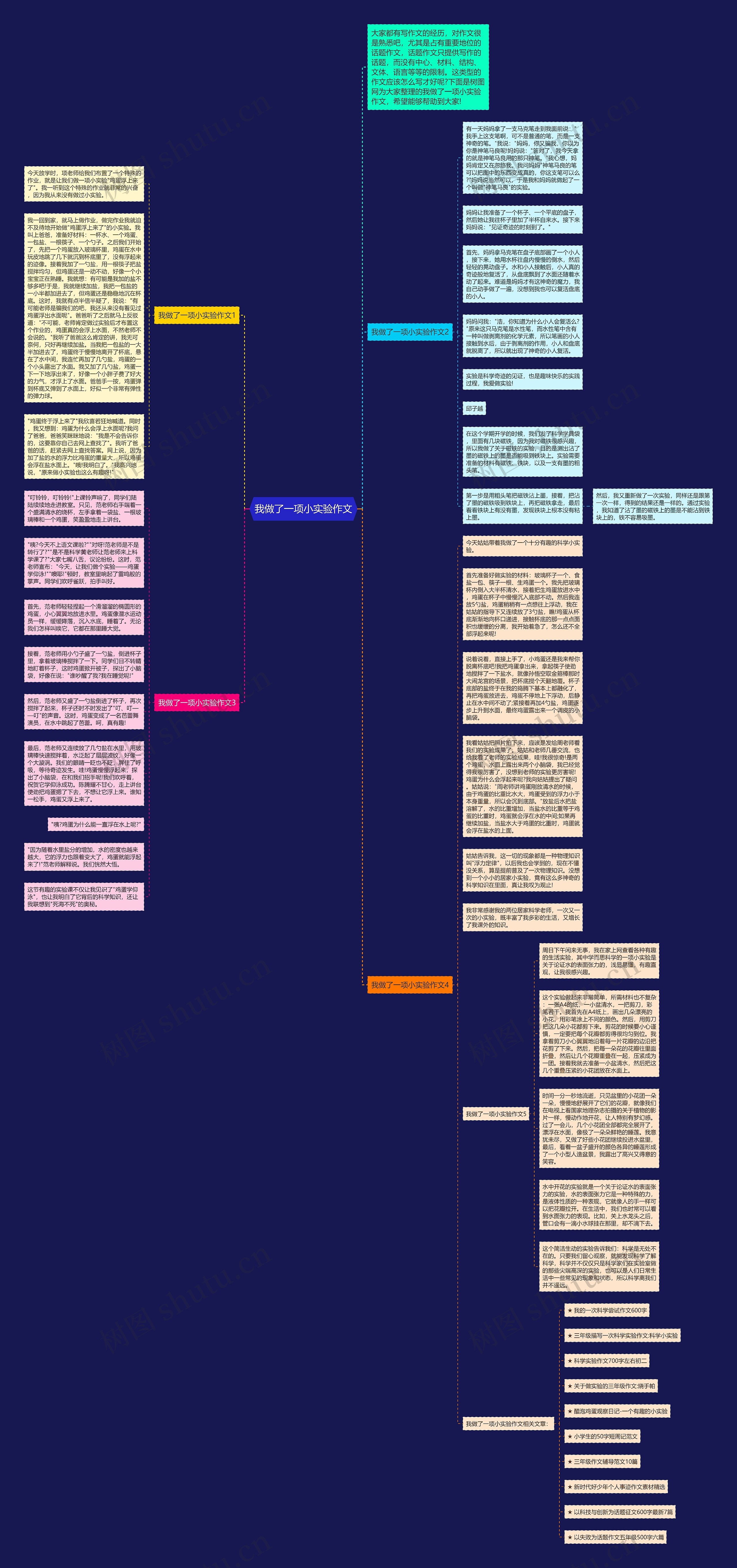 我做了一项小实验作文思维导图