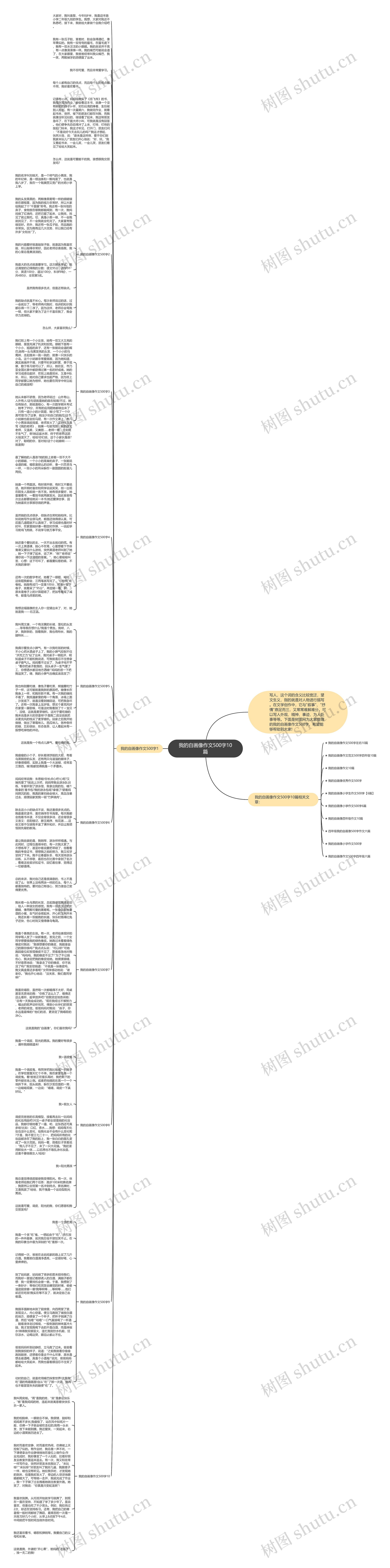 我的自画像作文500字10篇思维导图