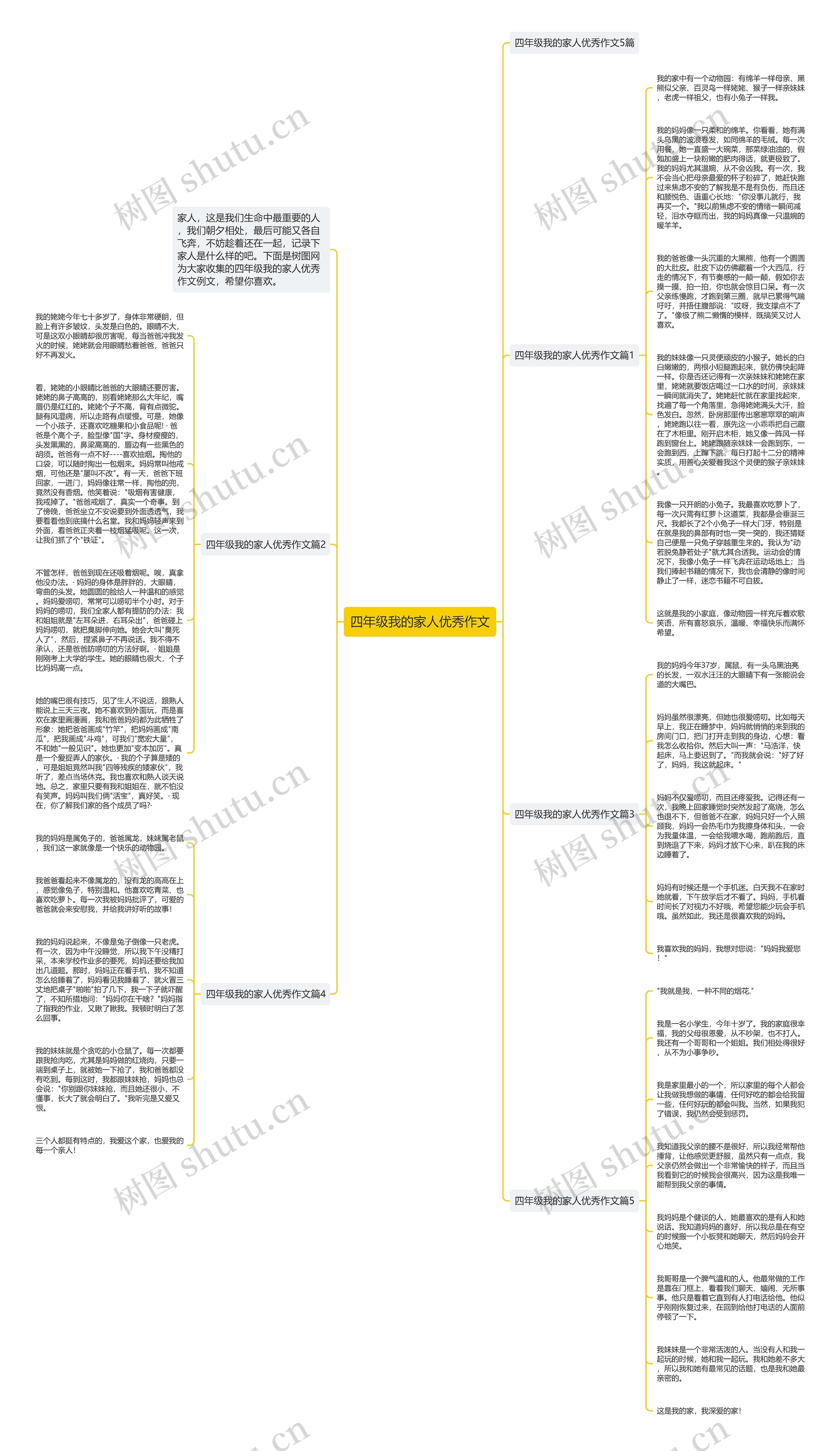 四年级我的家人优秀作文思维导图