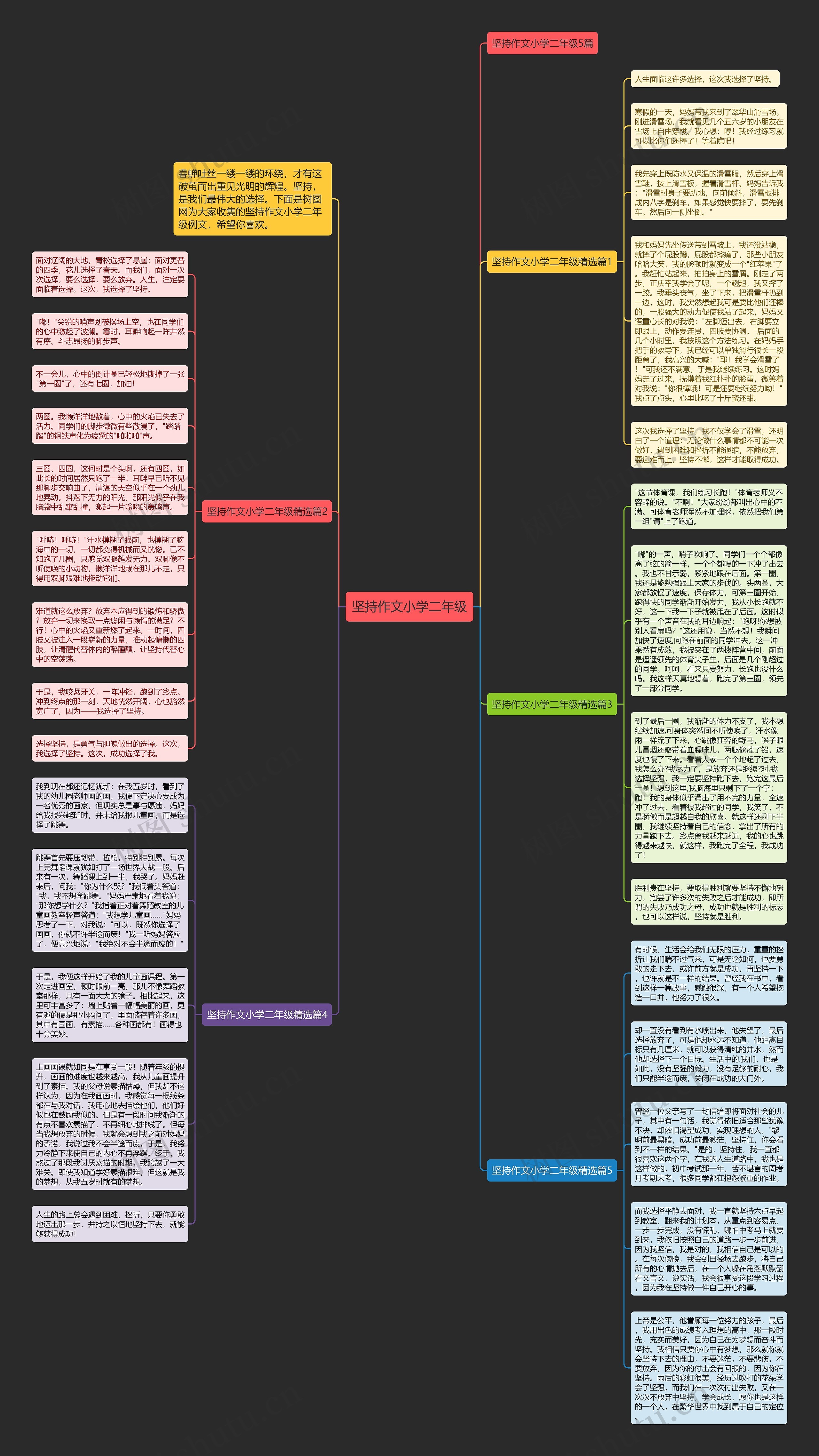 坚持作文小学二年级思维导图