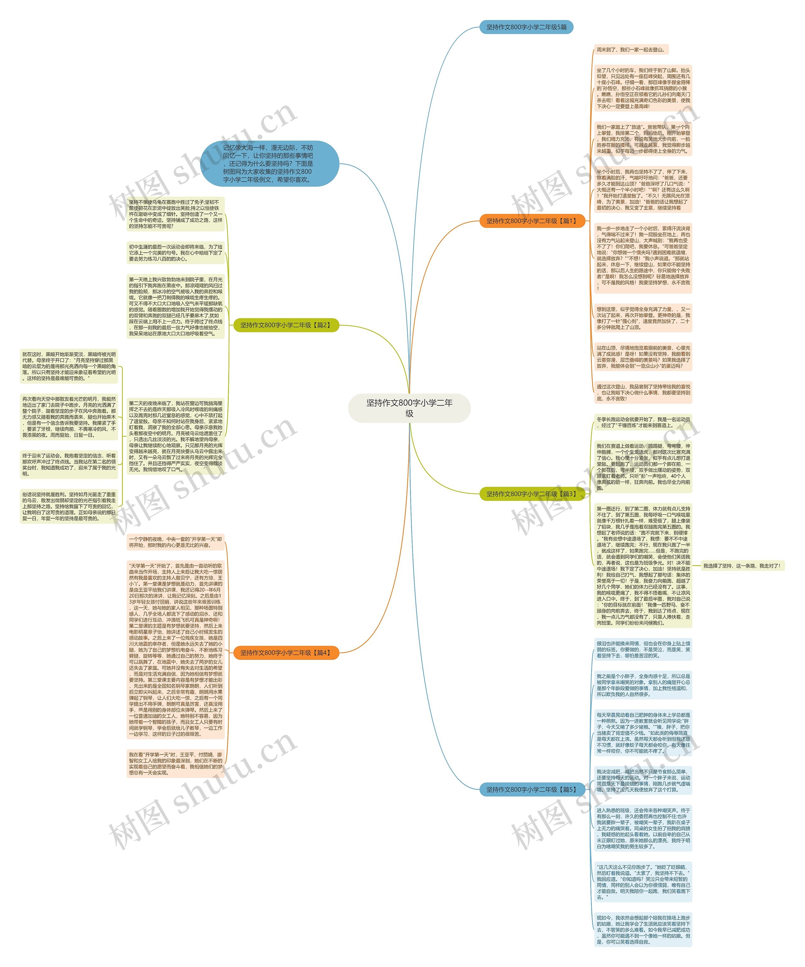 坚持作文800字小学二年级思维导图