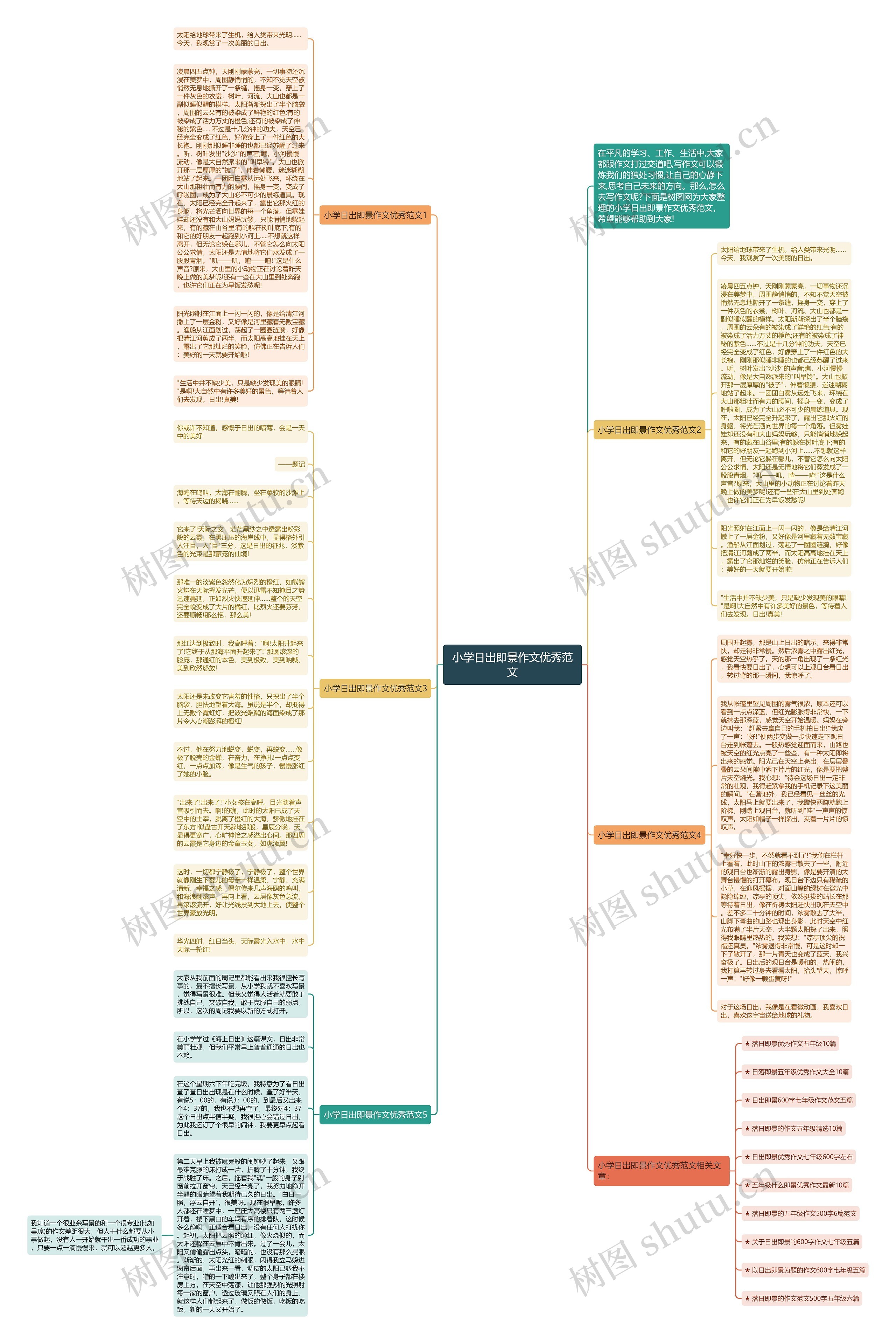 小学日出即景作文优秀范文思维导图