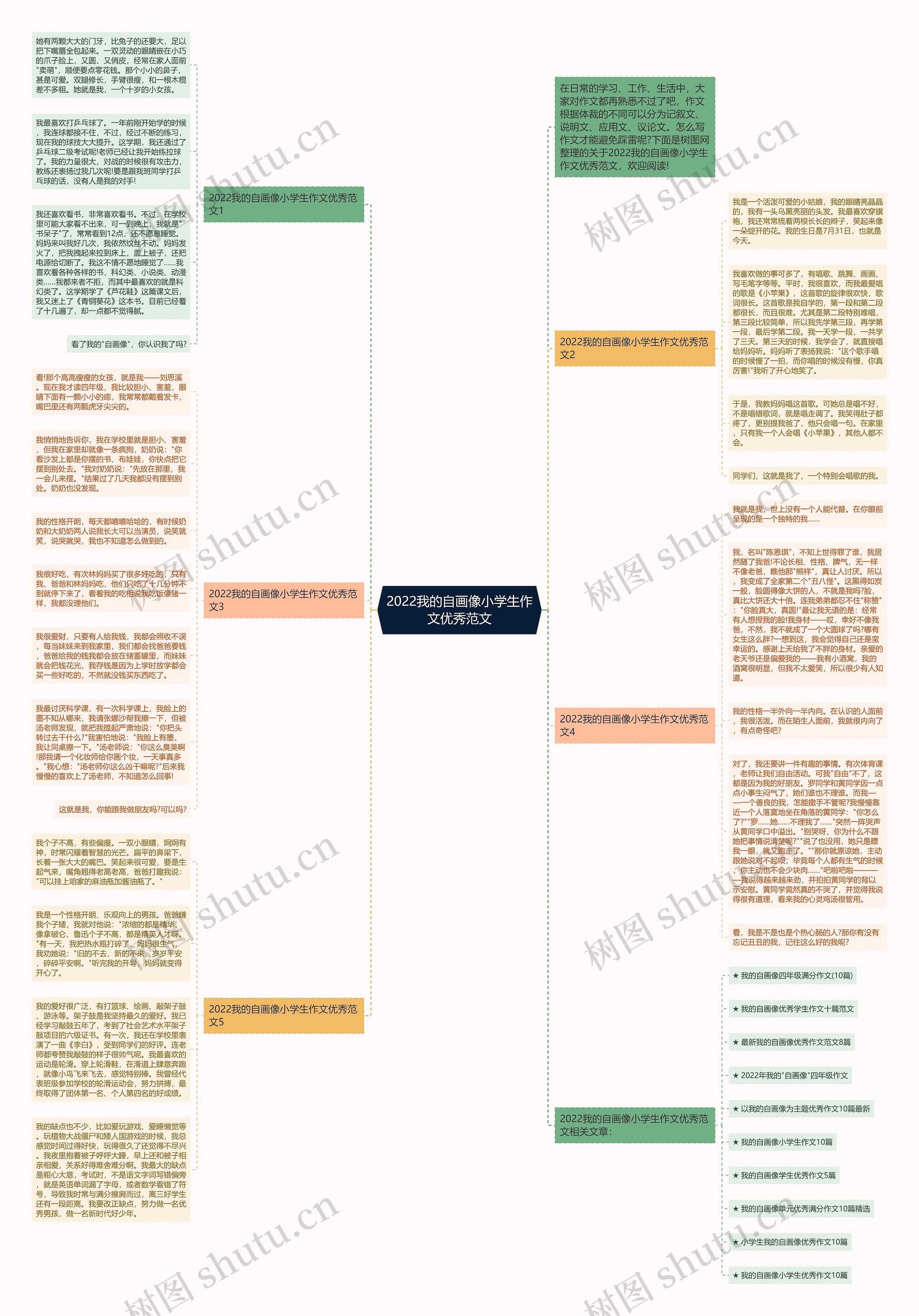 2022我的自画像小学生作文优秀范文思维导图