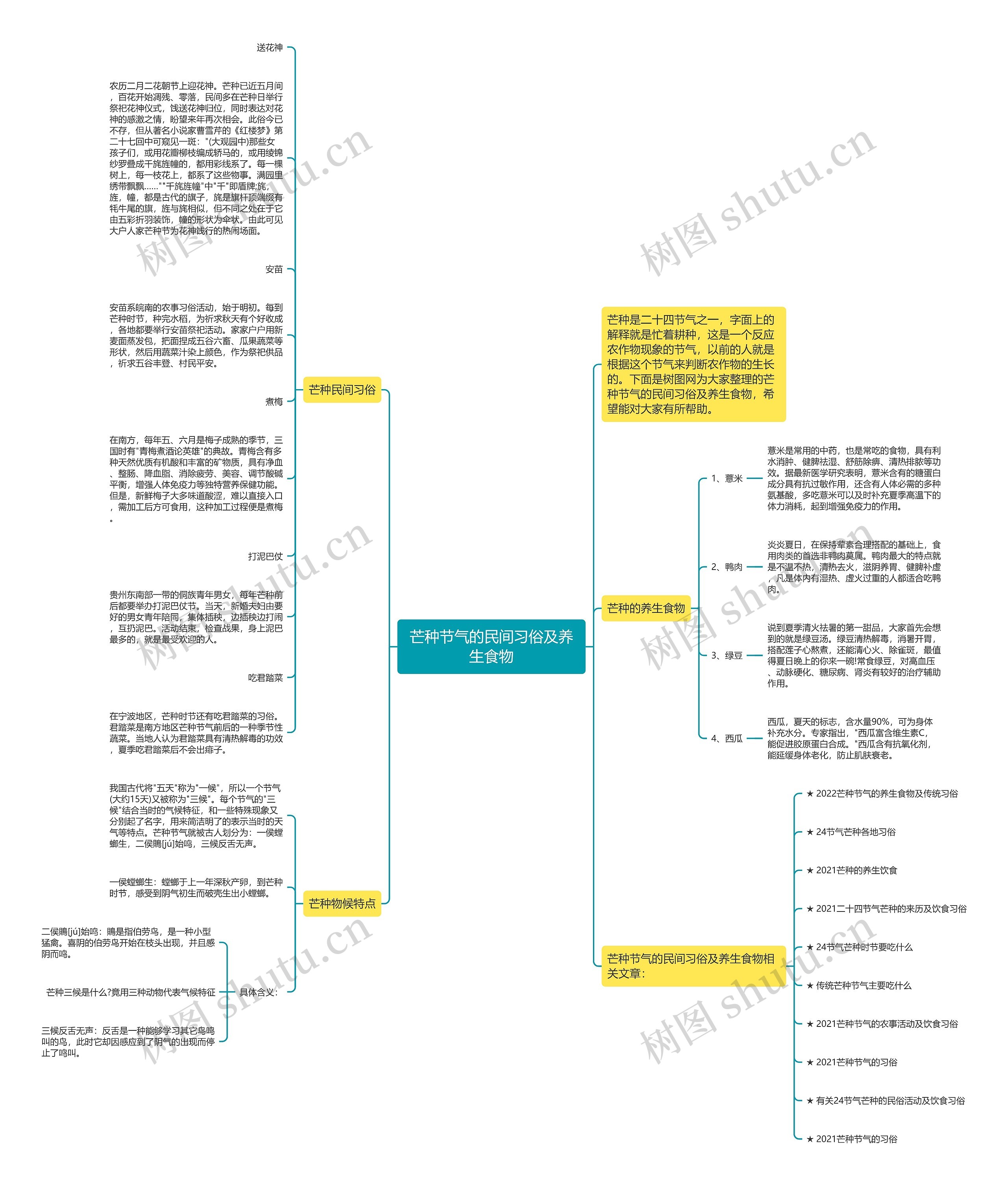 芒种节气的民间习俗及养生食物思维导图