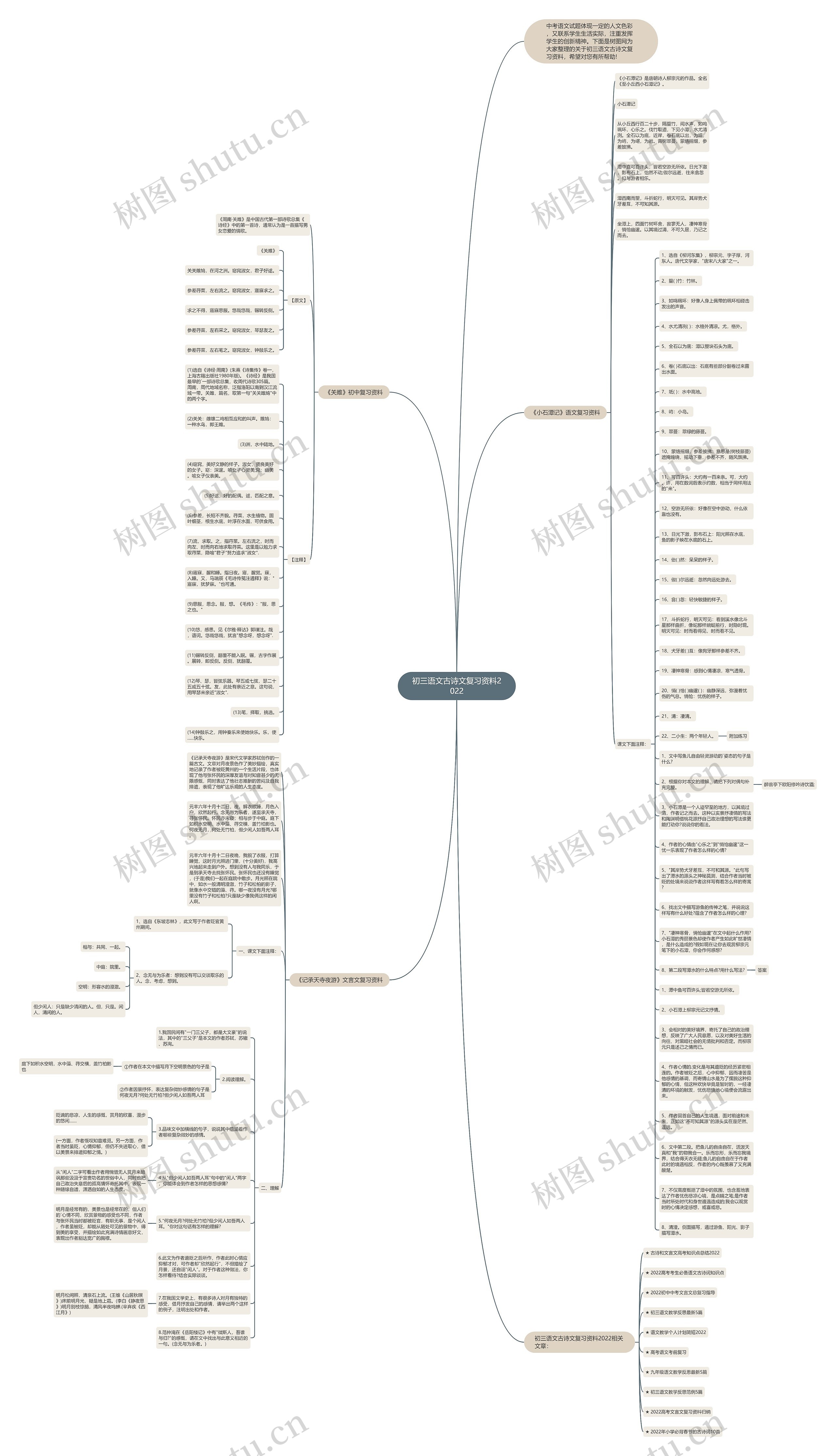 初三语文古诗文复习资料2022思维导图
