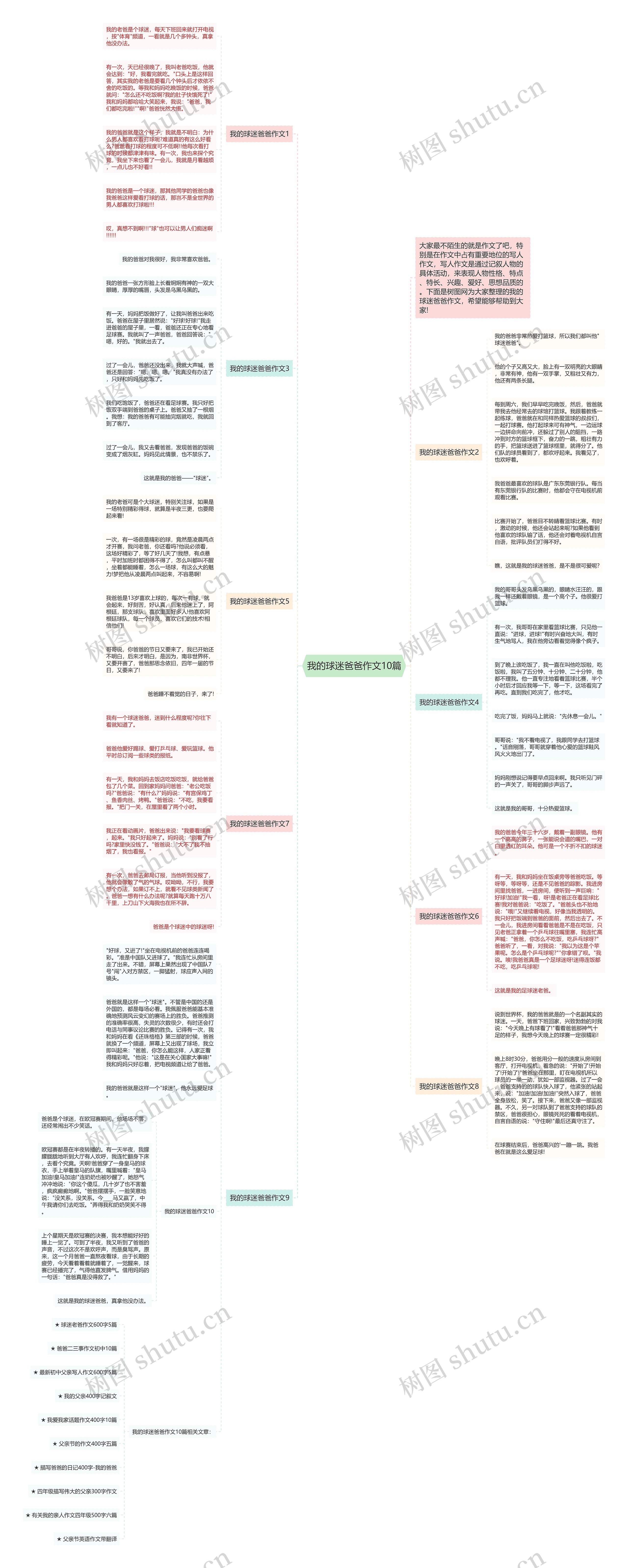 我的球迷爸爸作文10篇思维导图