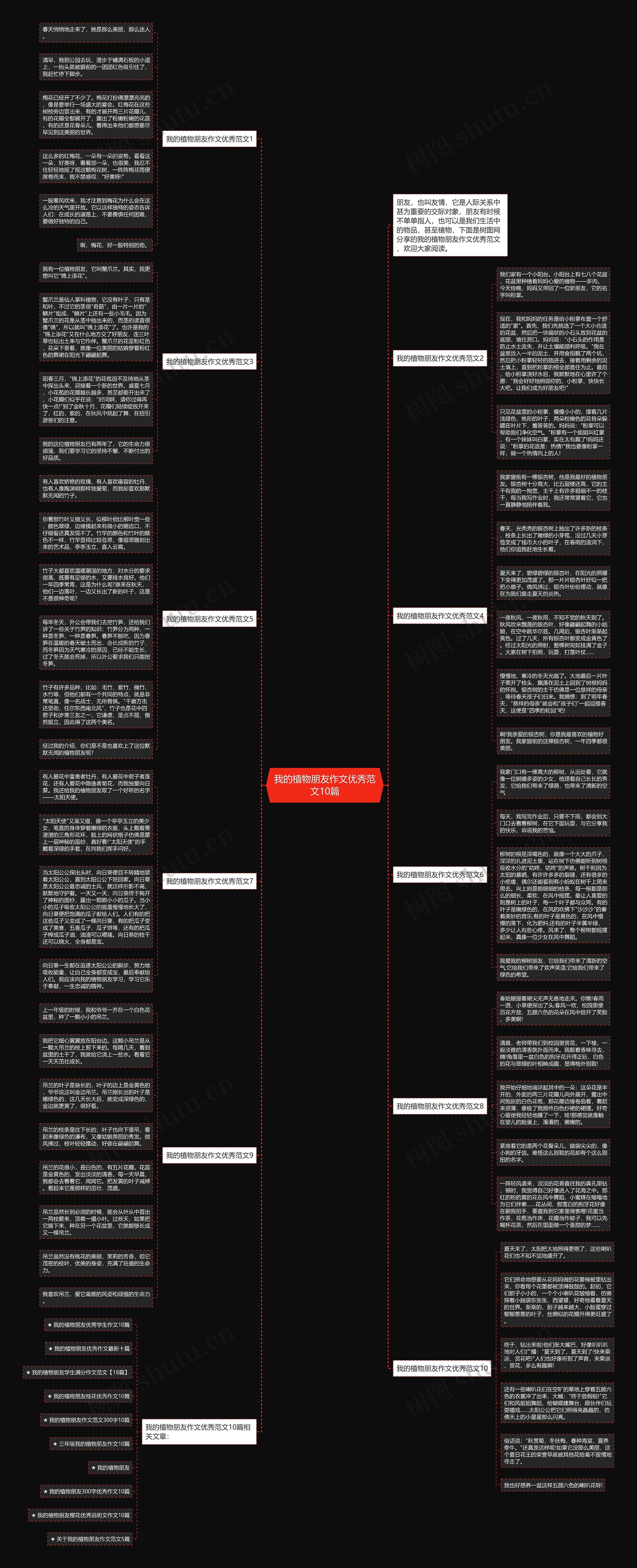 我的植物朋友作文优秀范文10篇思维导图