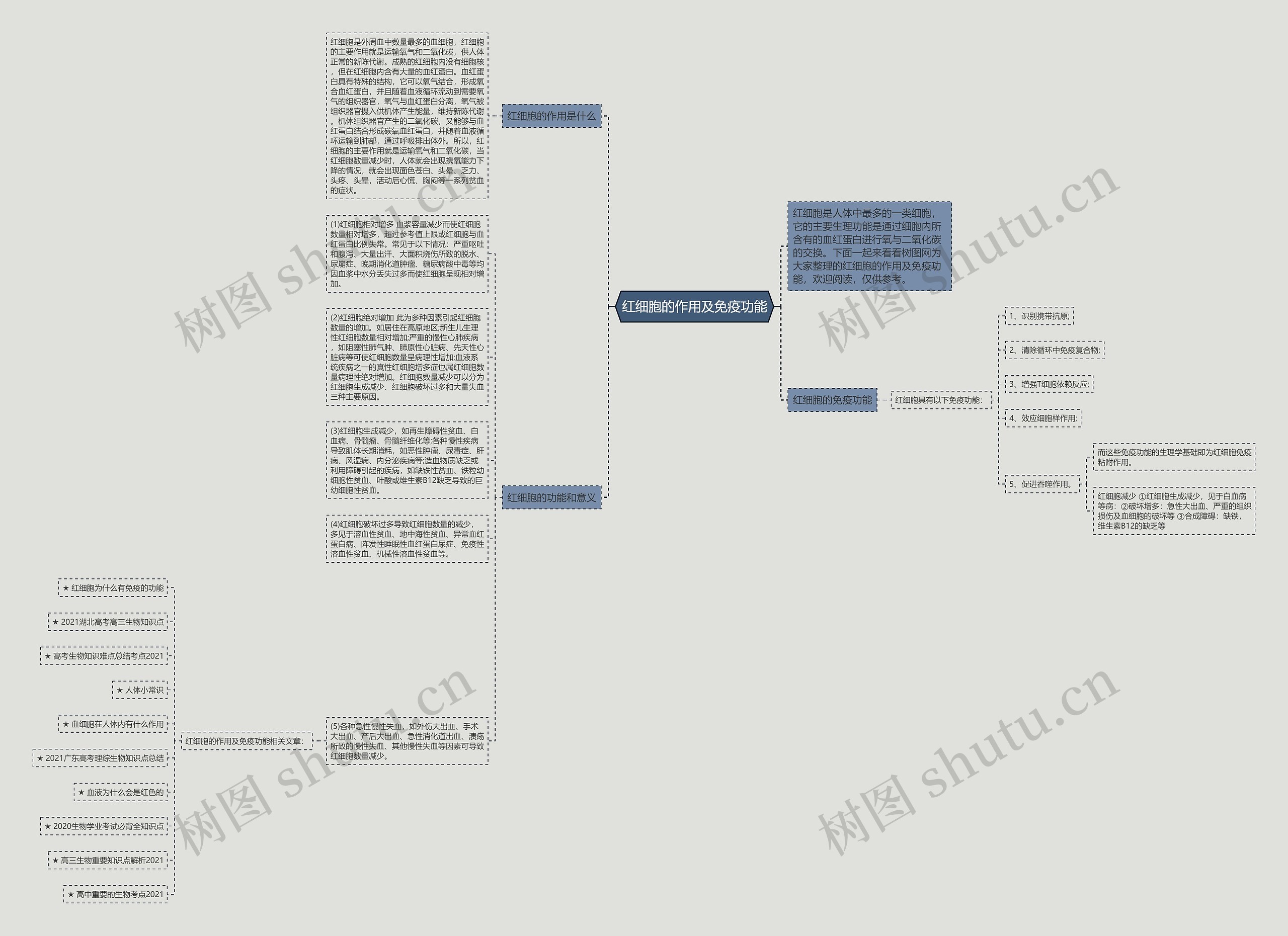 红细胞的作用及免疫功能思维导图