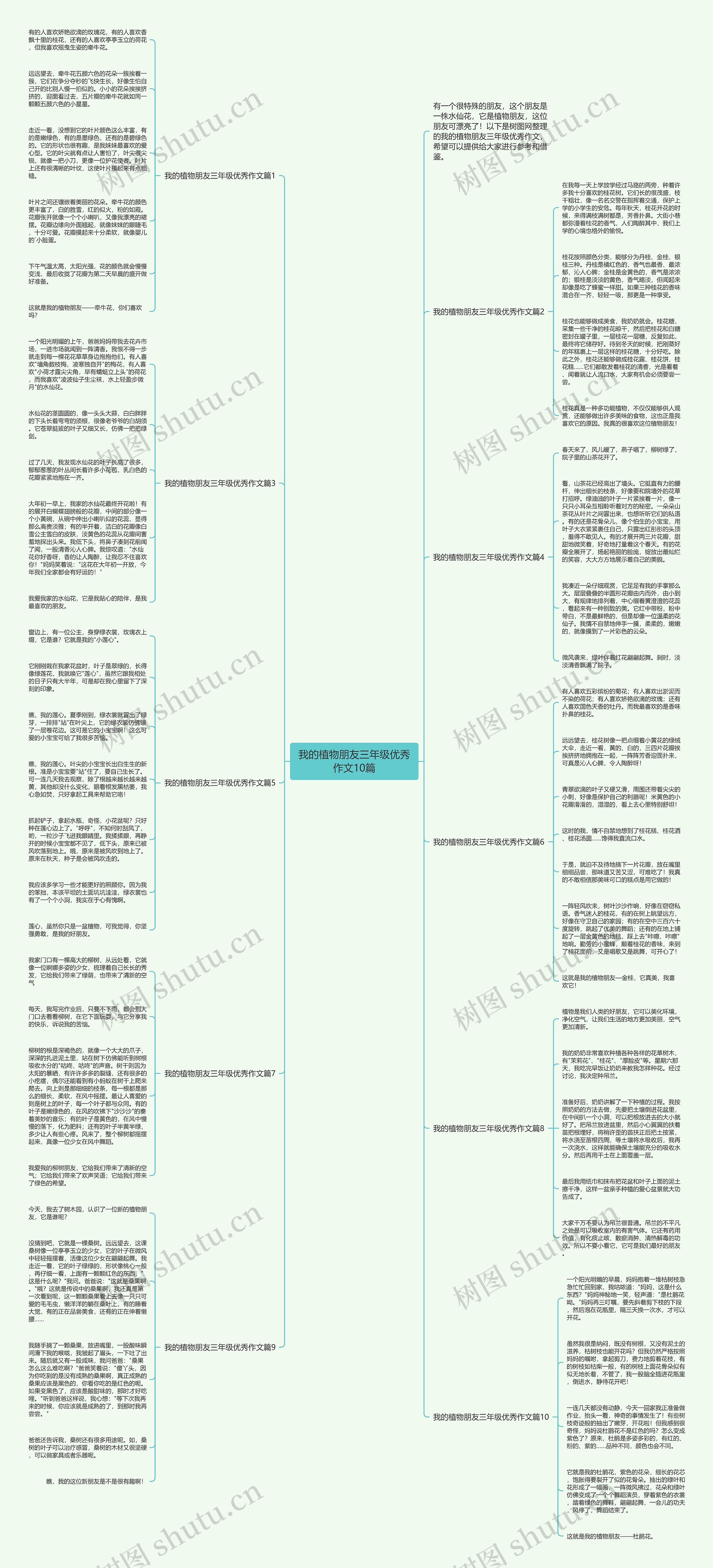 我的植物朋友三年级优秀作文10篇思维导图