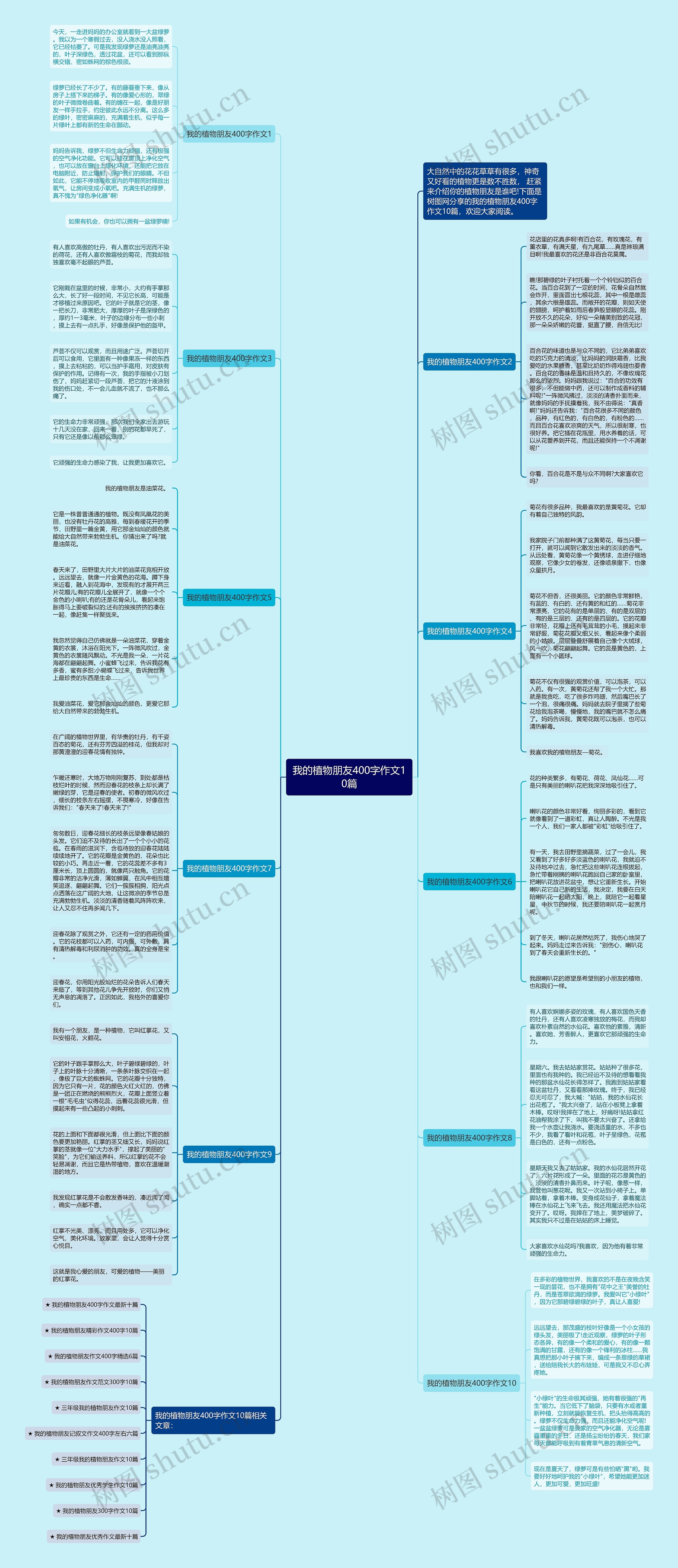 我的植物朋友400字作文10篇思维导图