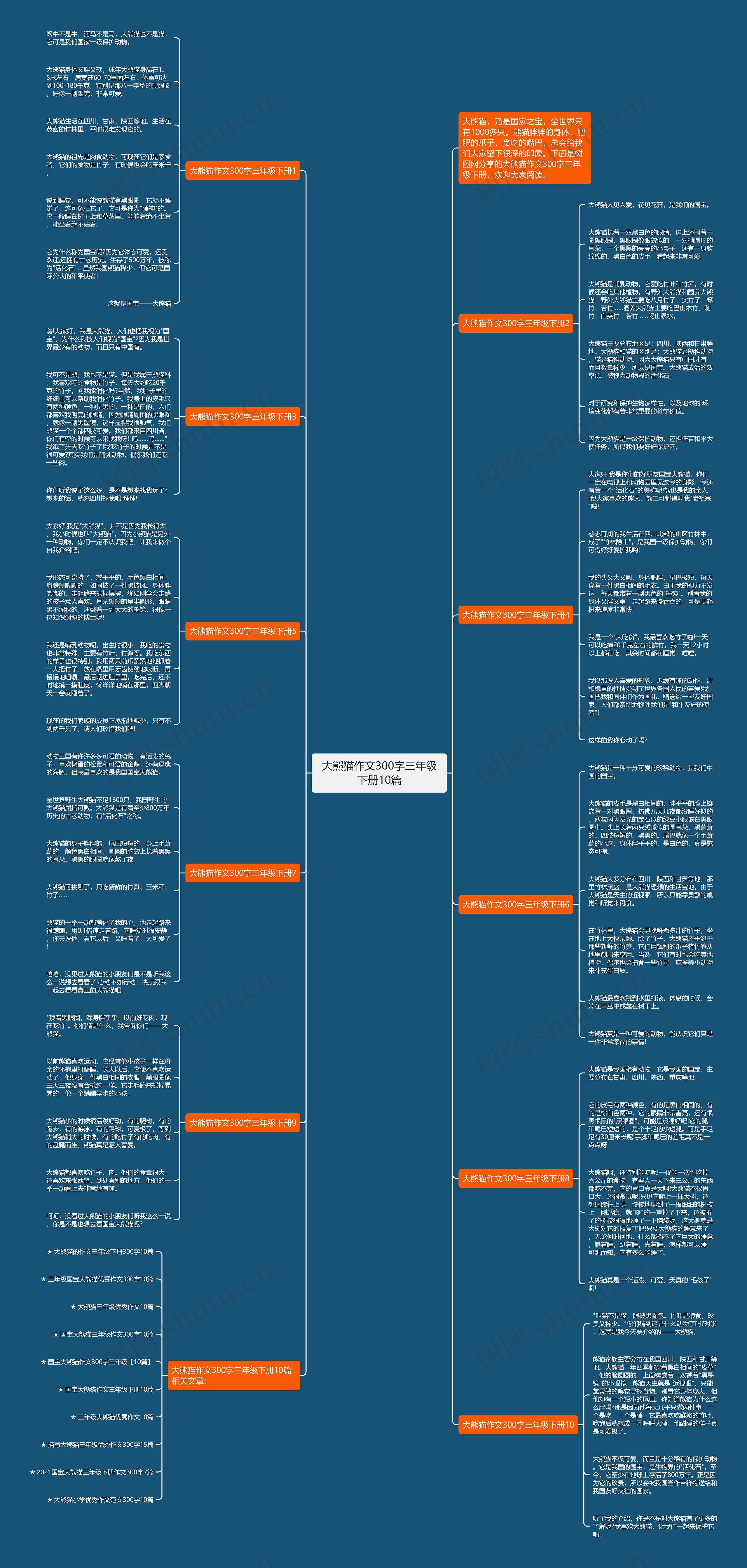 大熊猫作文300字三年级下册10篇思维导图