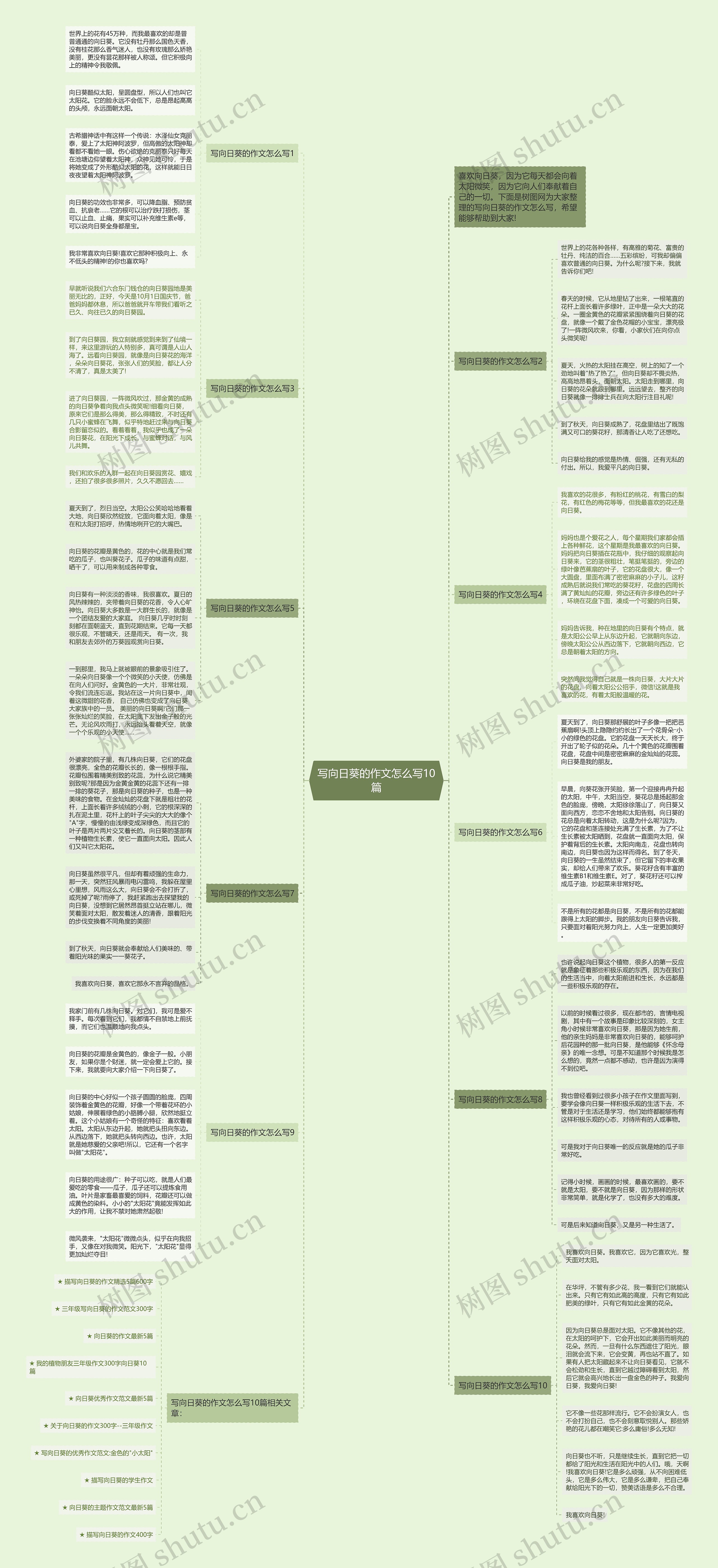 写向日葵的作文怎么写10篇思维导图
