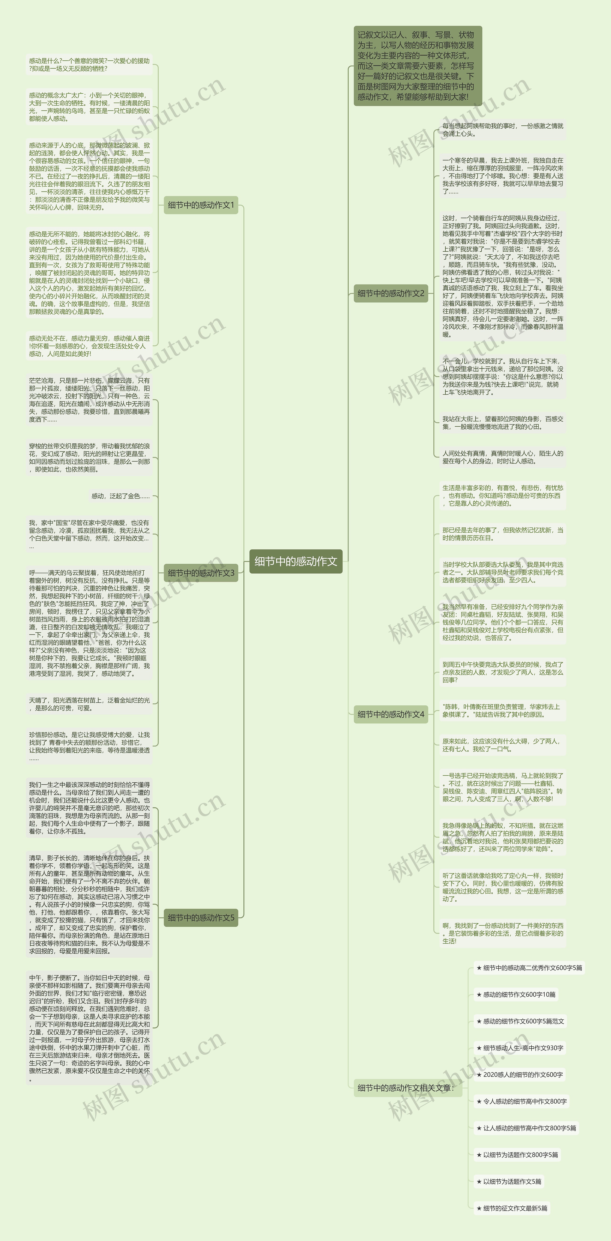 细节中的感动作文思维导图