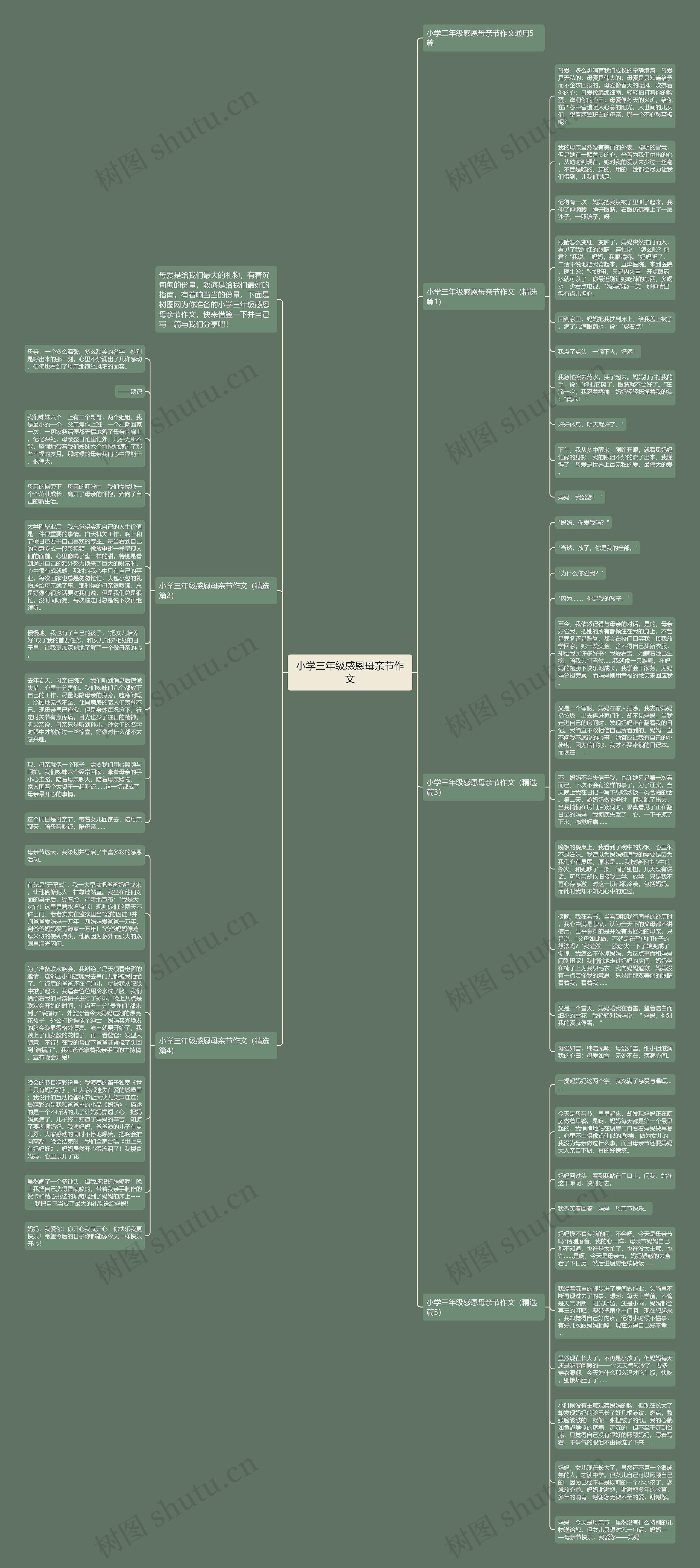 小学三年级感恩母亲节作文思维导图