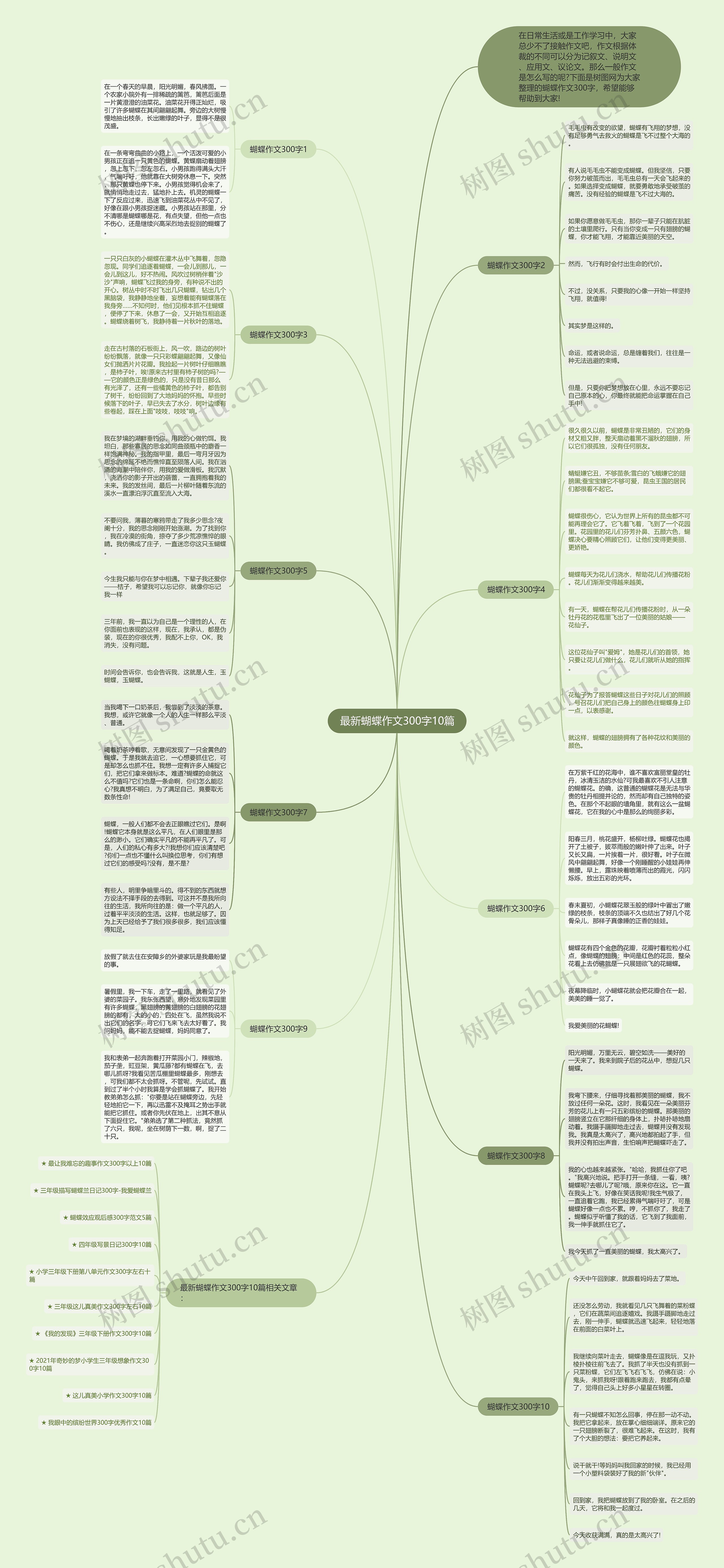 最新蝴蝶作文300字10篇思维导图