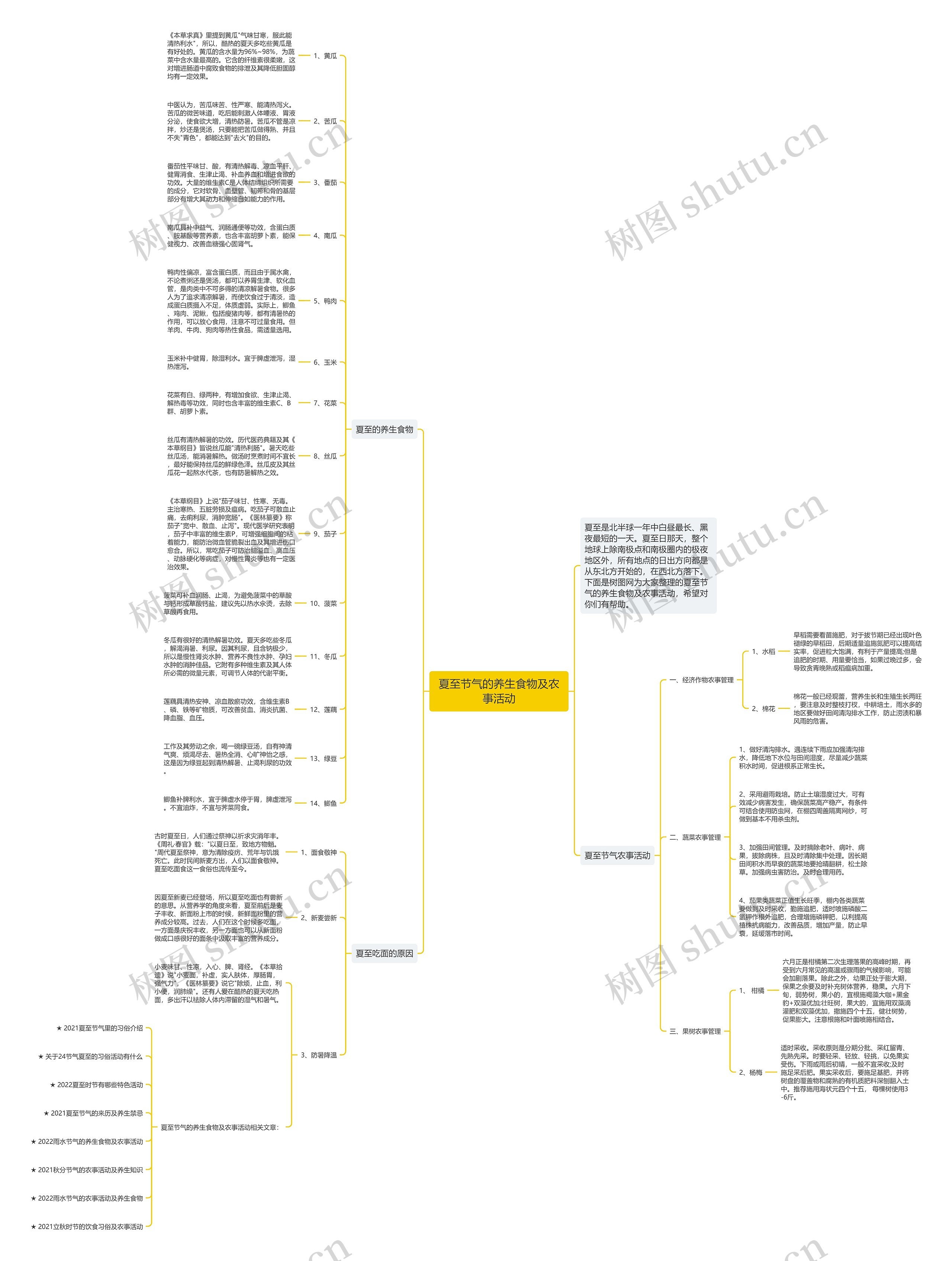 夏至节气的养生食物及农事活动思维导图
