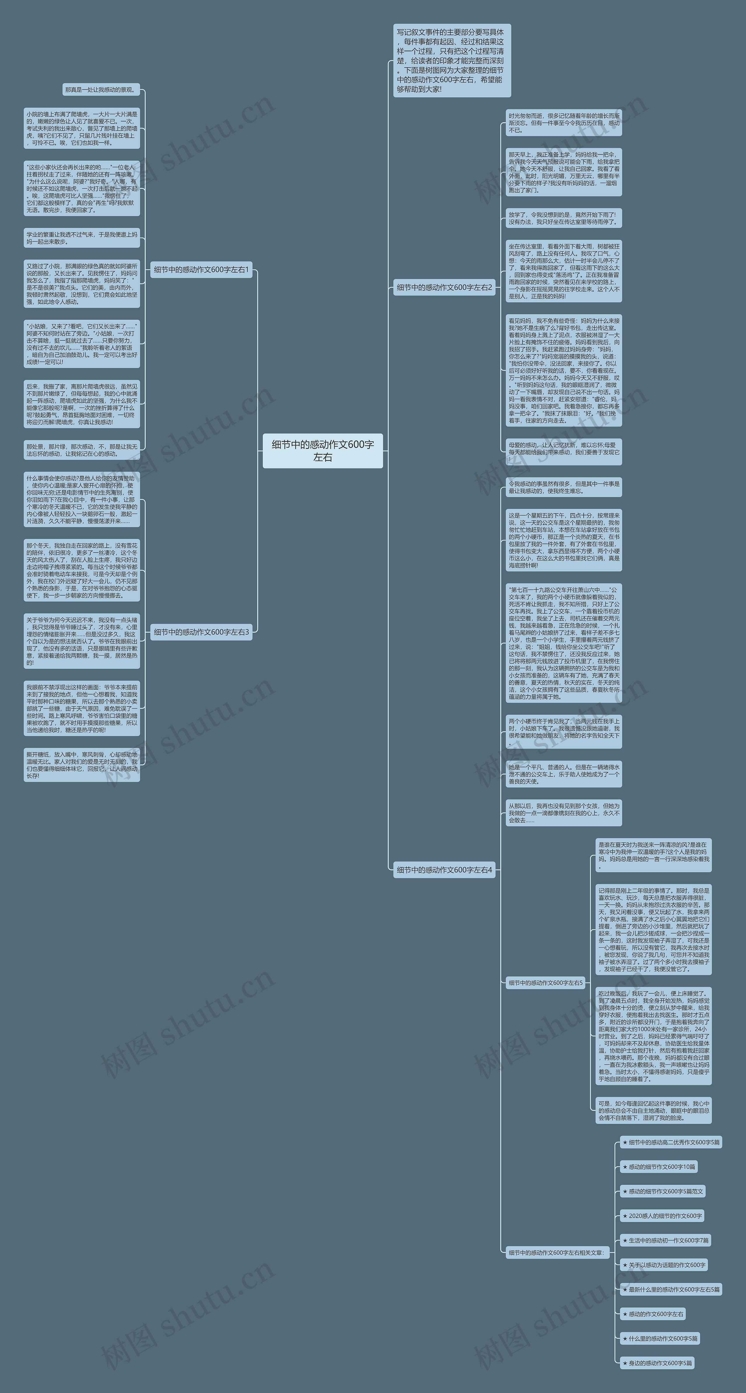 细节中的感动作文600字左右思维导图