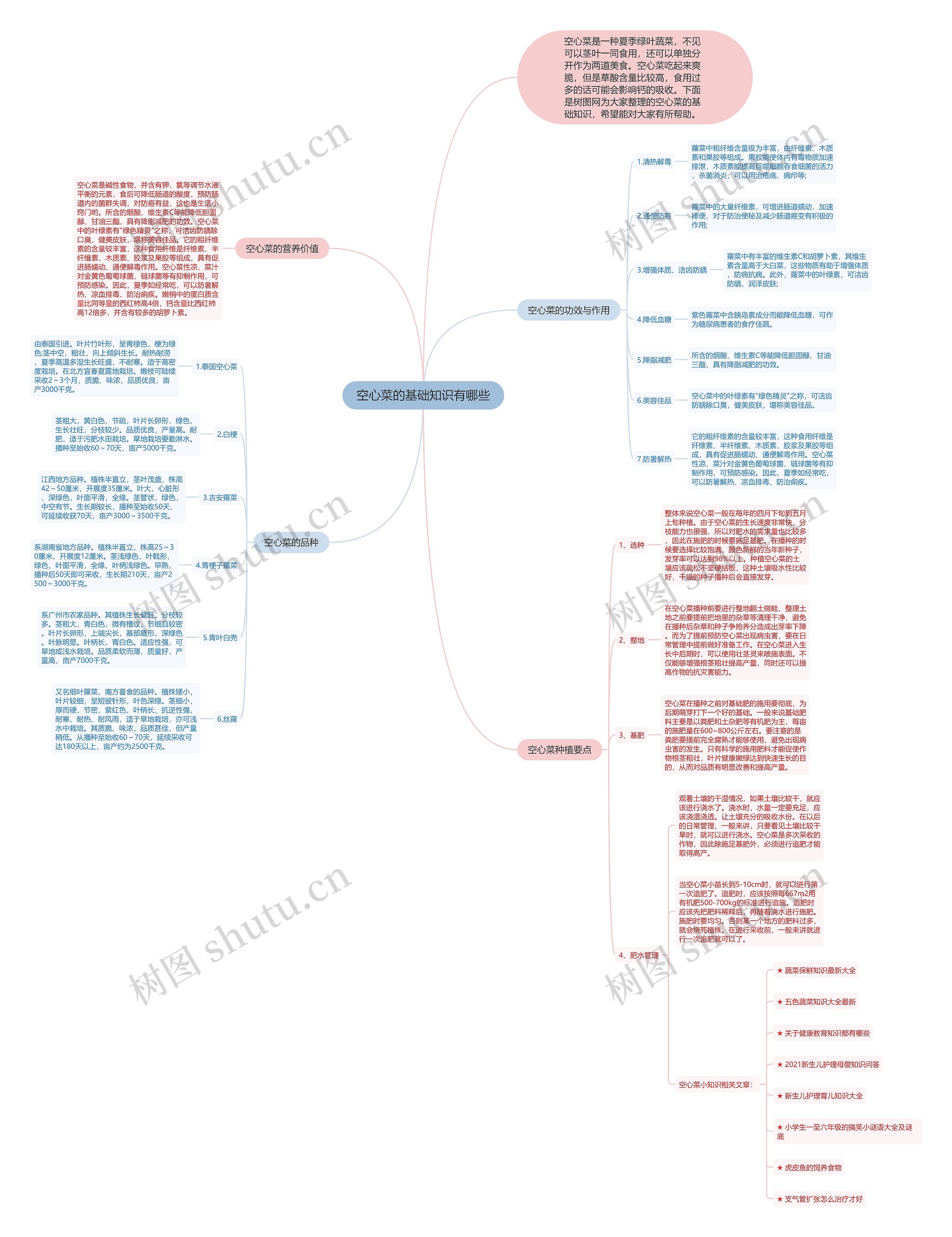 空心菜的基础知识有哪些思维导图