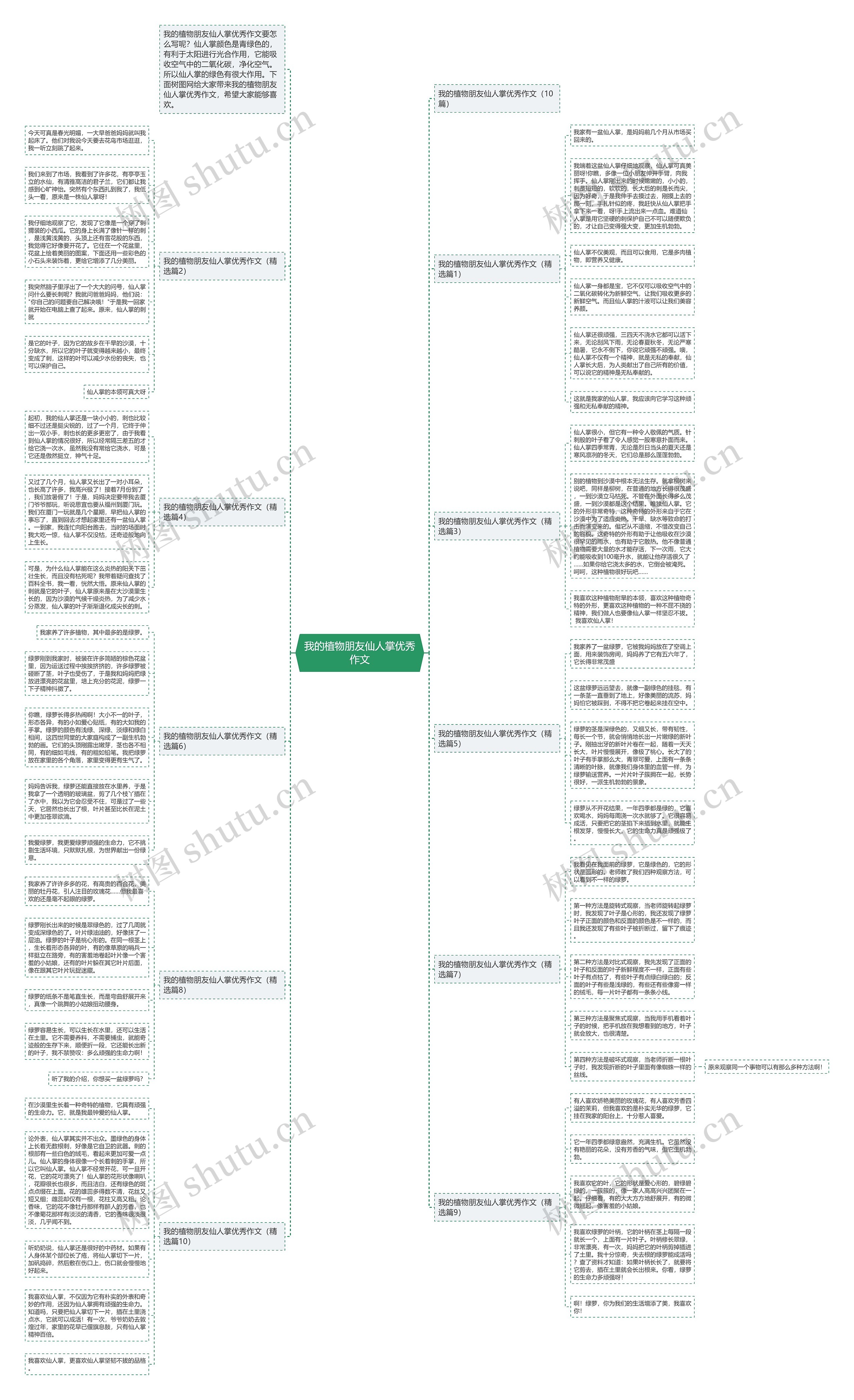 我的植物朋友仙人掌优秀作文思维导图