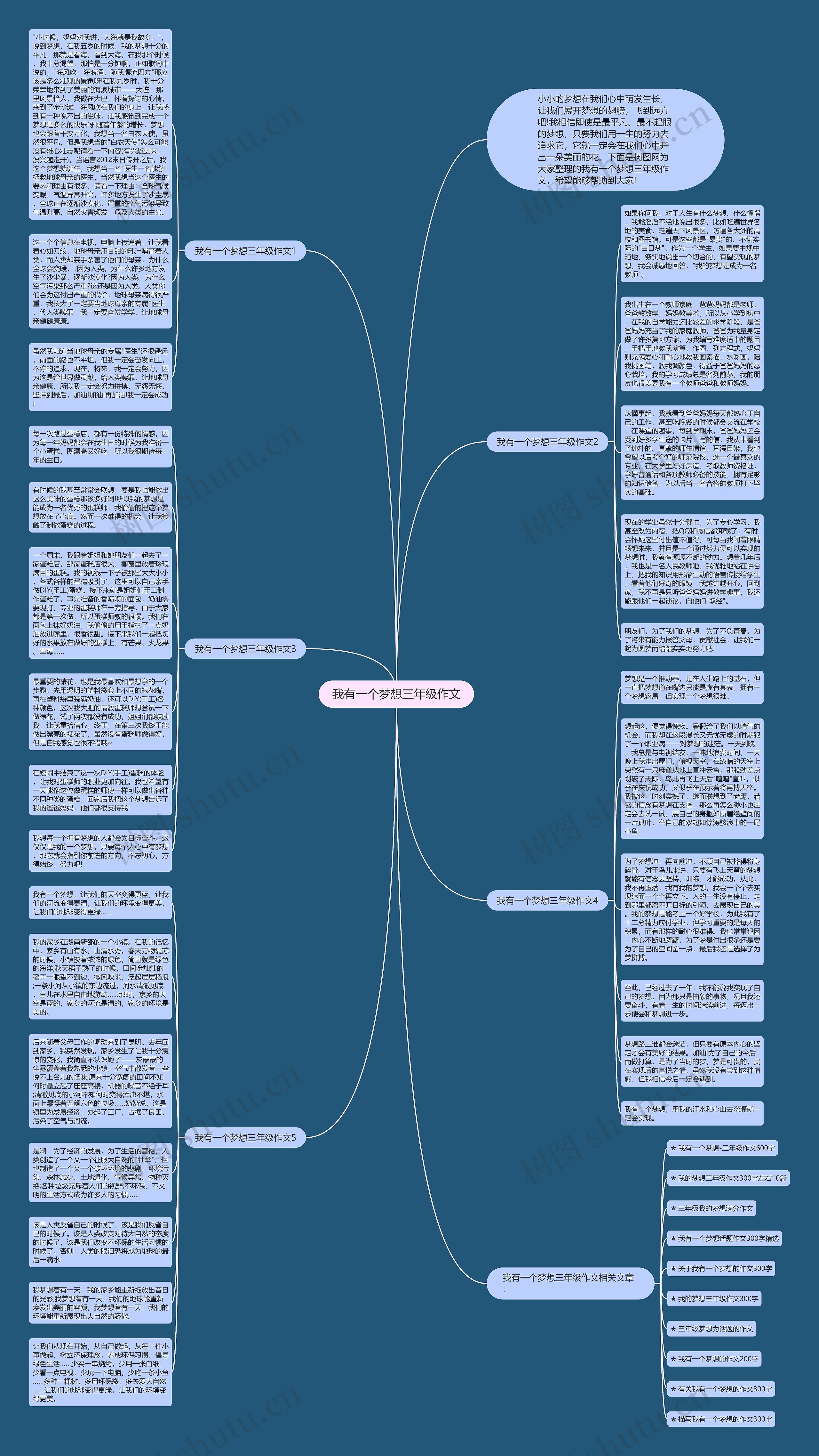 我有一个梦想三年级作文思维导图