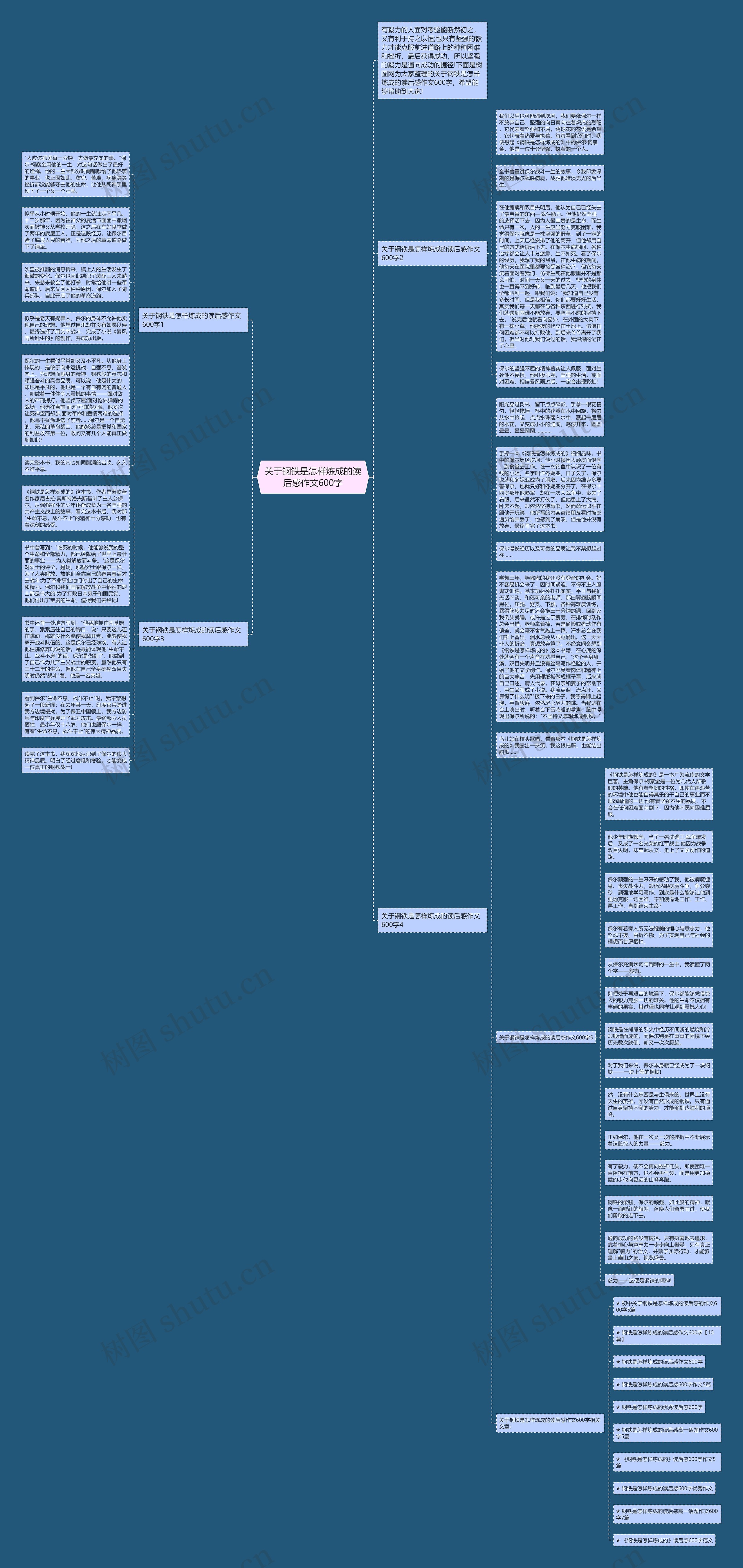 关于钢铁是怎样炼成的读后感作文600字思维导图