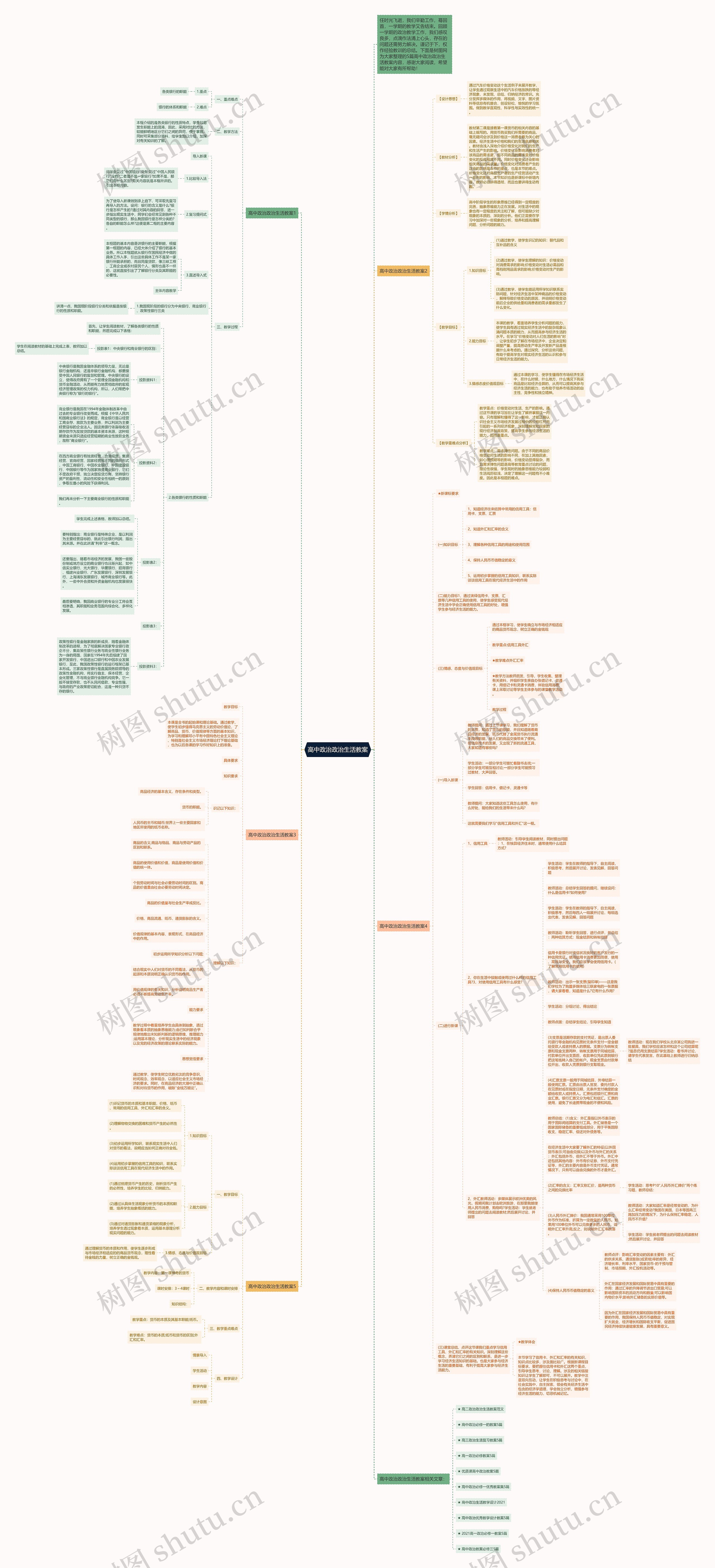 高中政治政治生活教案思维导图
