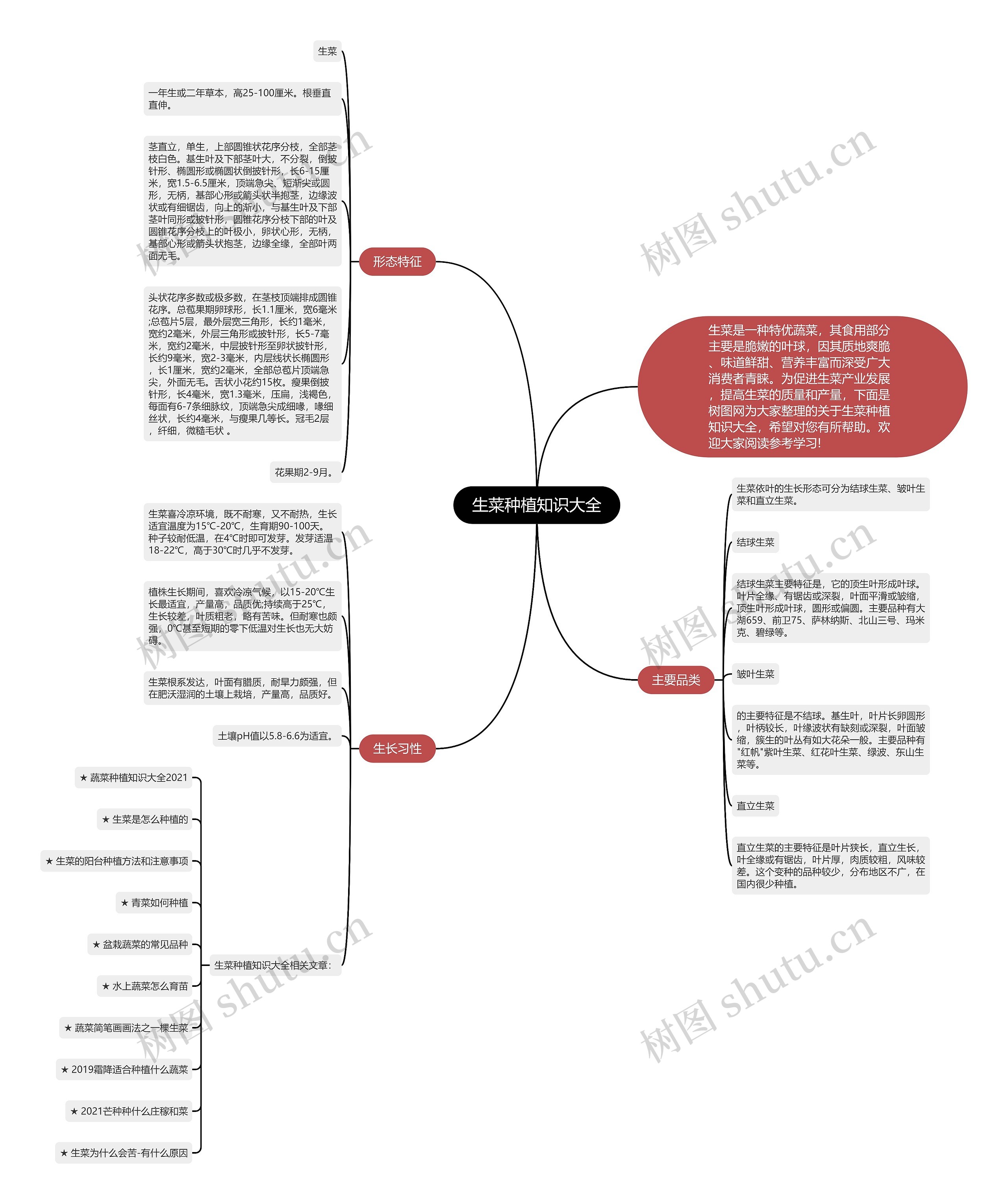 生菜种植知识大全思维导图