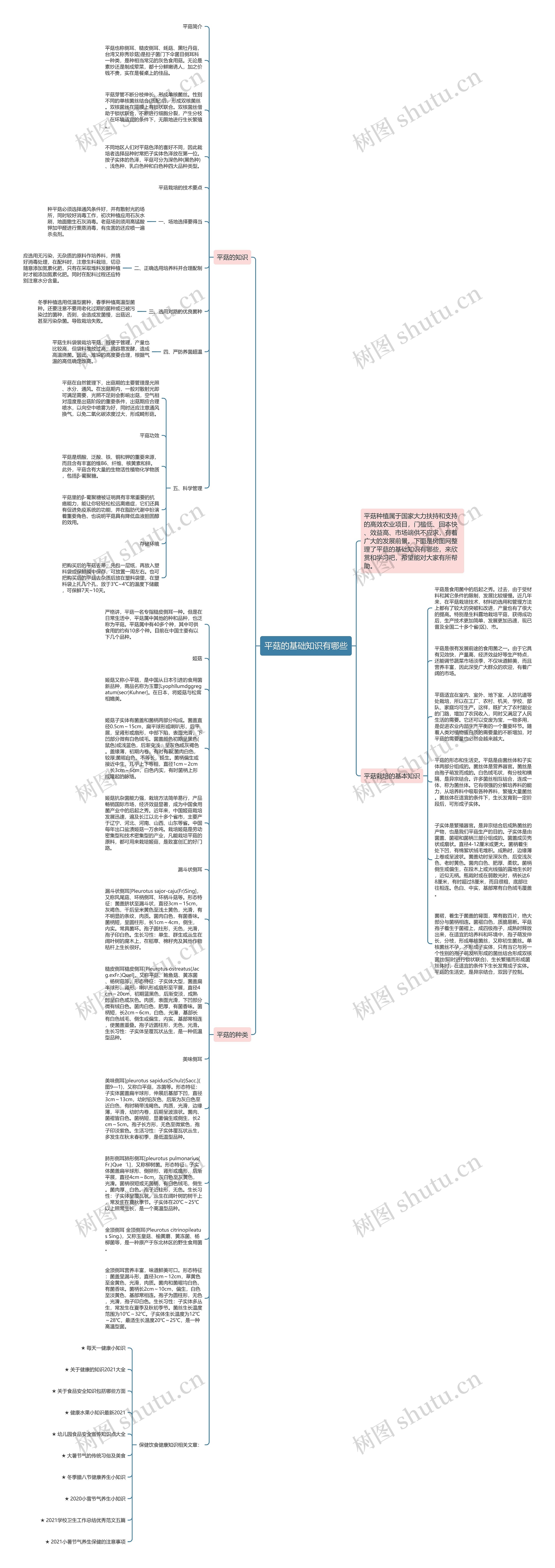 平菇的基础知识有哪些思维导图