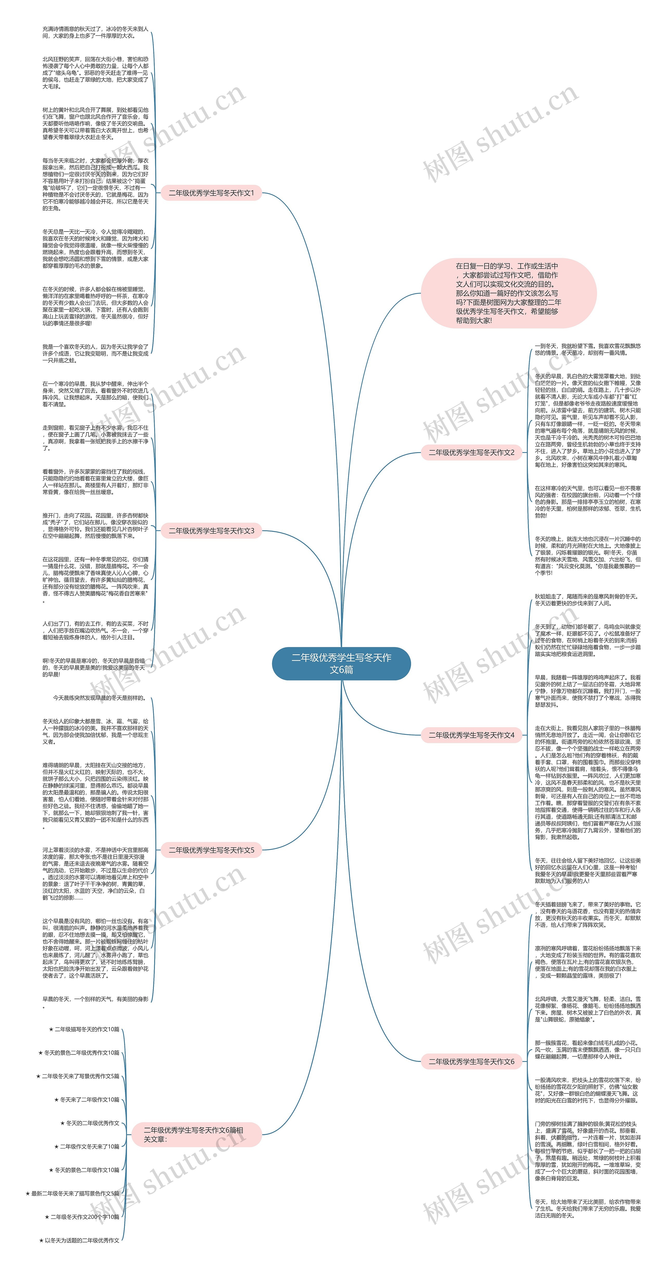 二年级优秀学生写冬天作文6篇思维导图