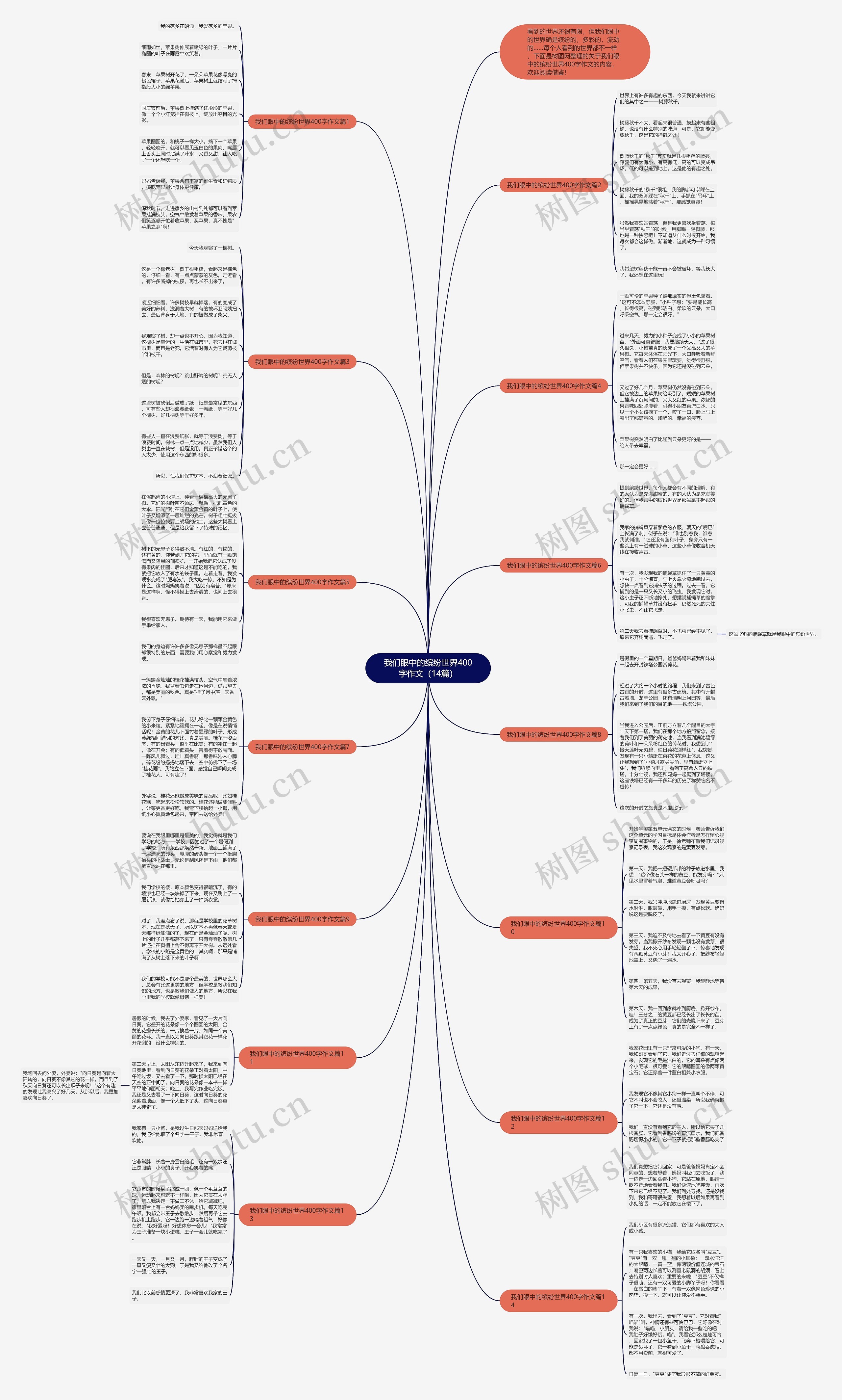 我们眼中的缤纷世界400字作文（14篇）思维导图