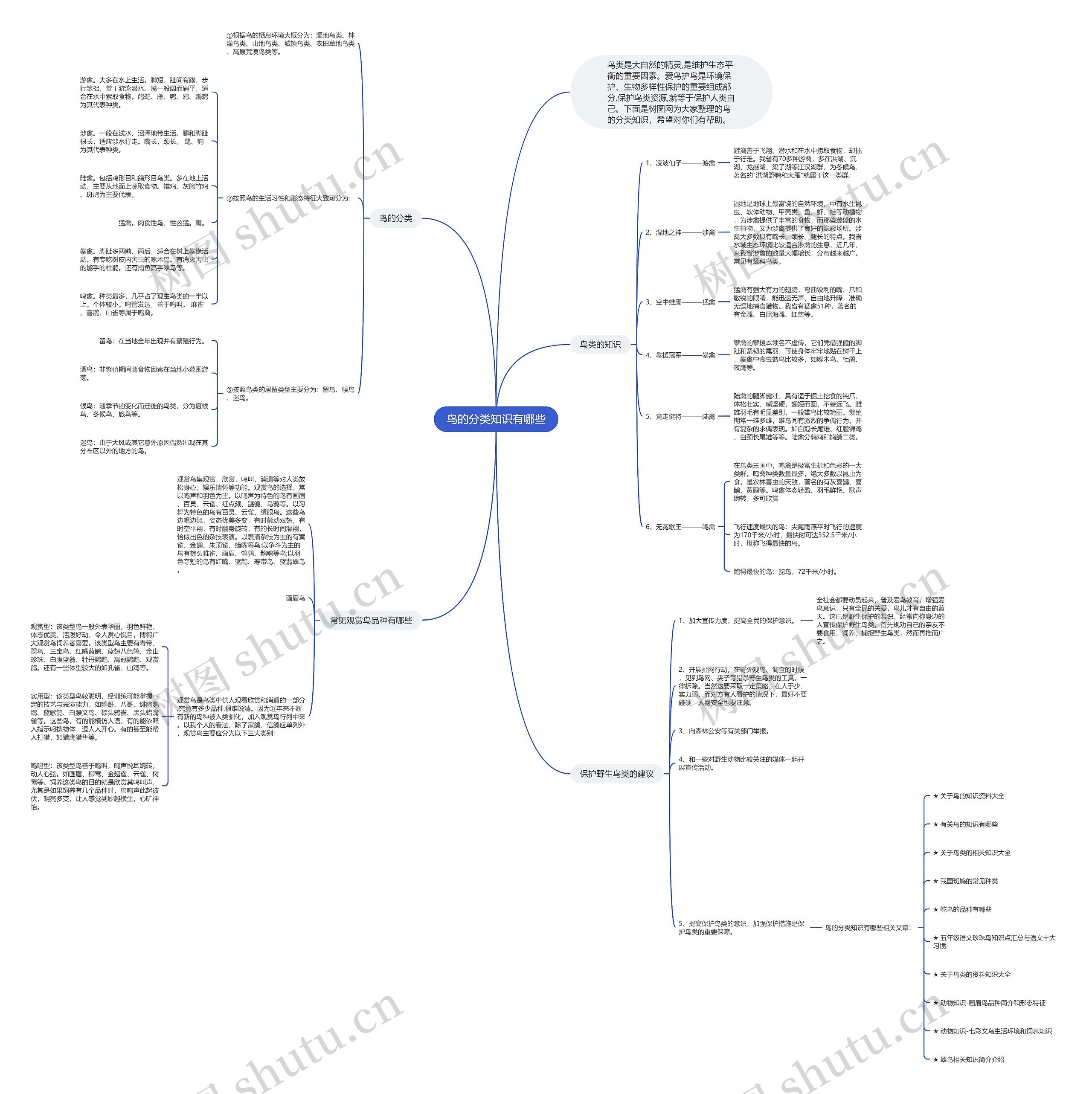 鸟的分类知识有哪些思维导图