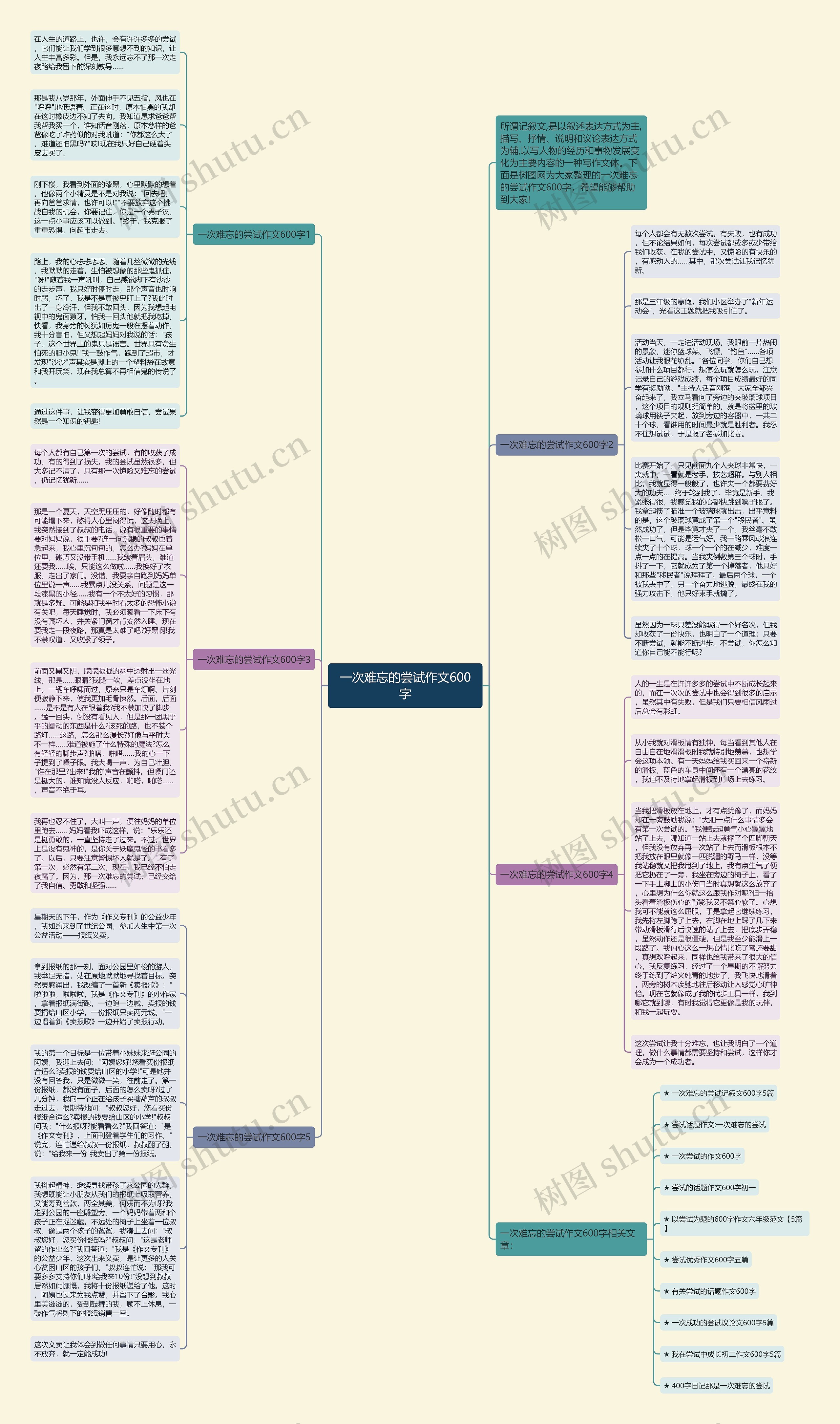 一次难忘的尝试作文600字思维导图