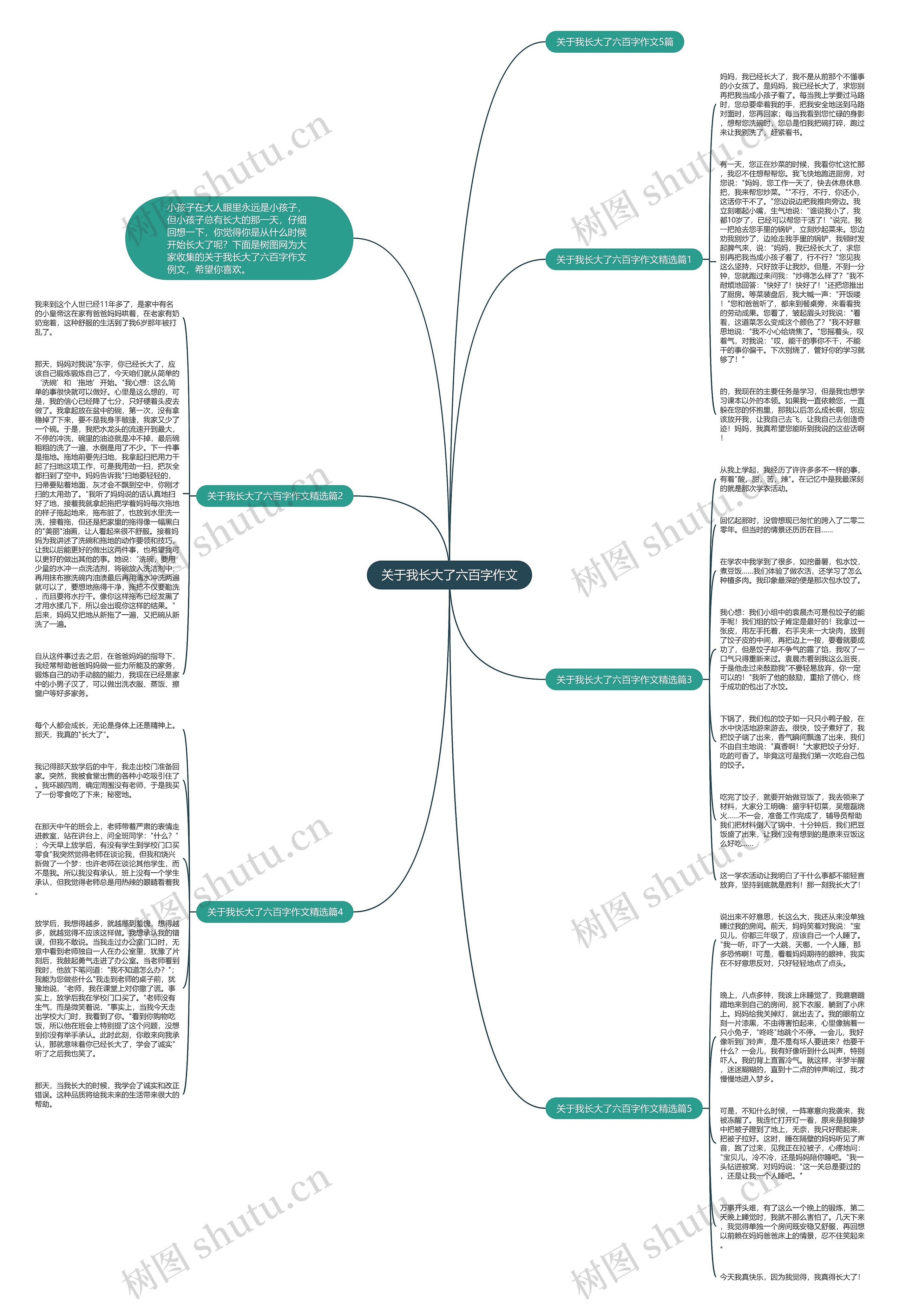 关于我长大了六百字作文思维导图