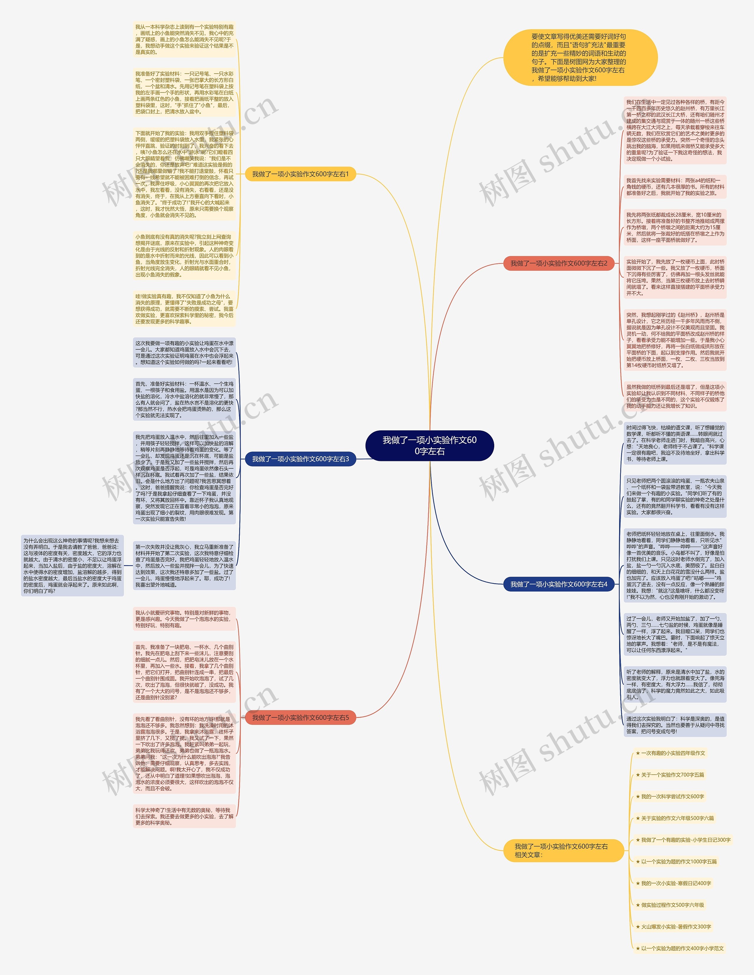 我做了一项小实验作文600字左右思维导图