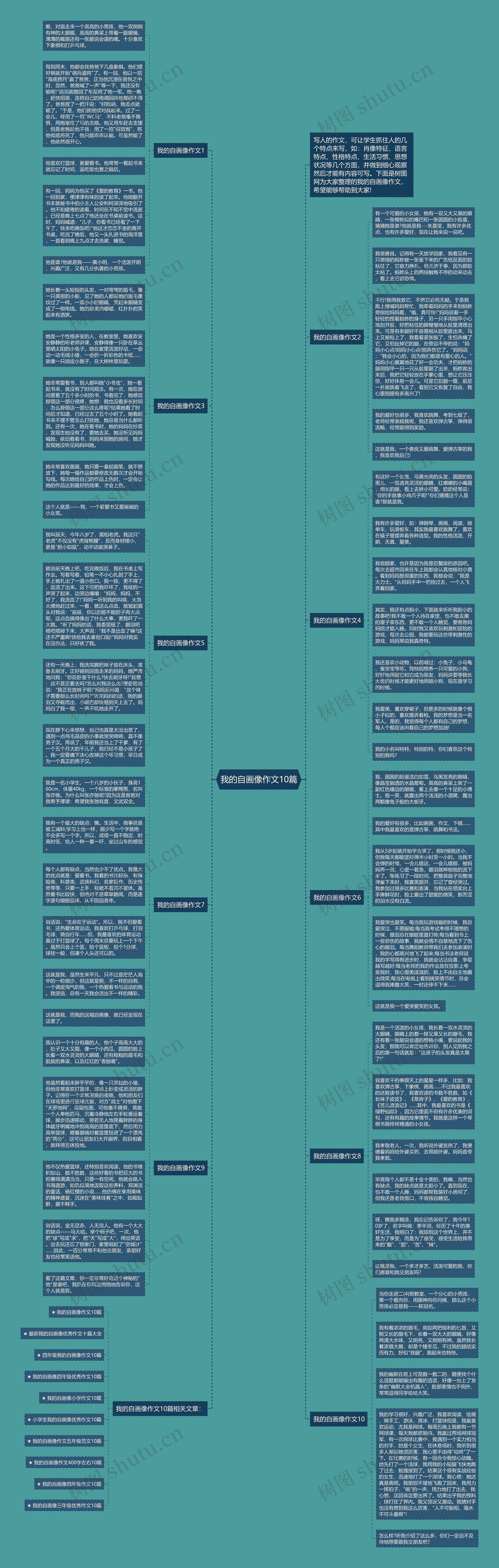我的自画像作文10篇