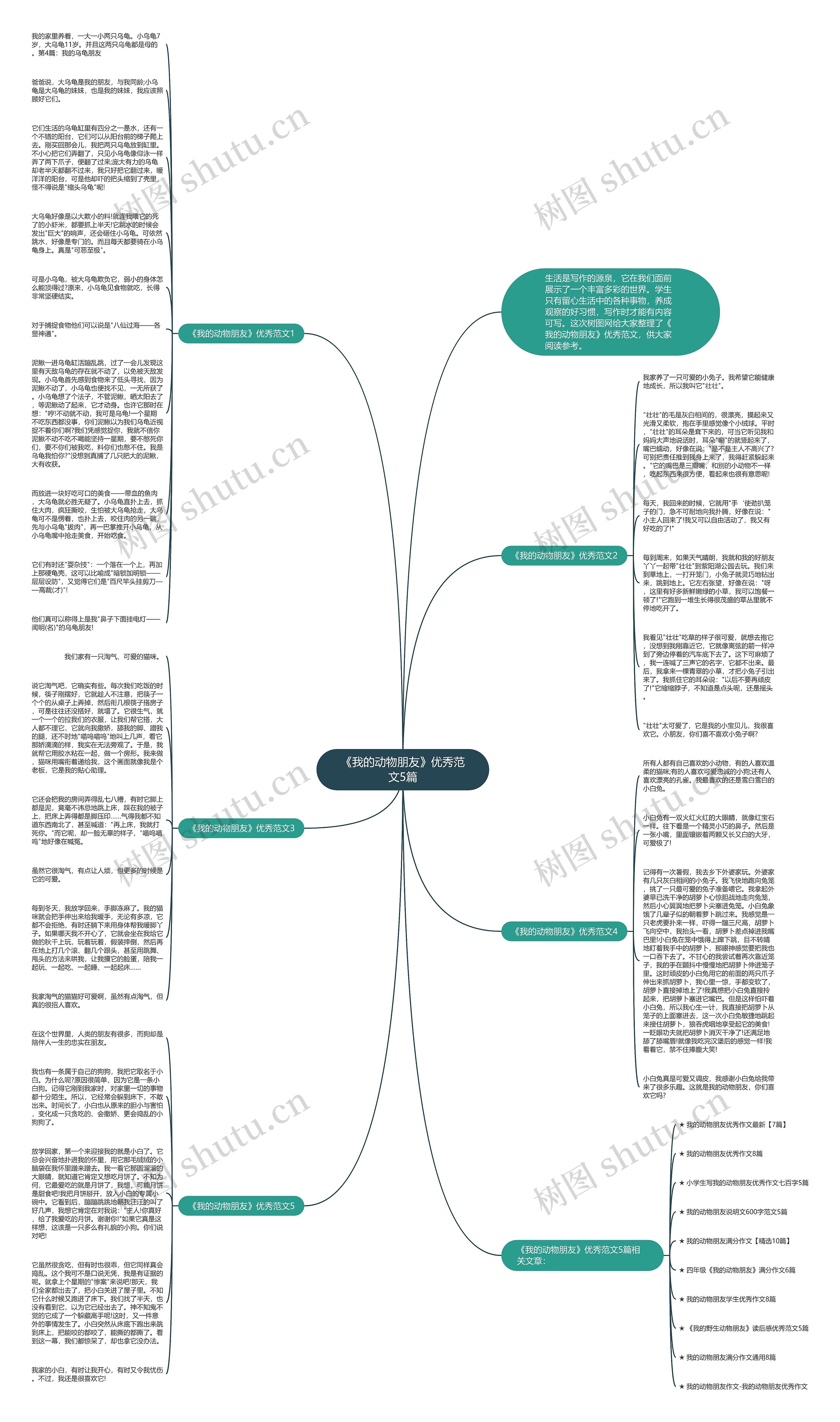 《我的动物朋友》优秀范文5篇思维导图