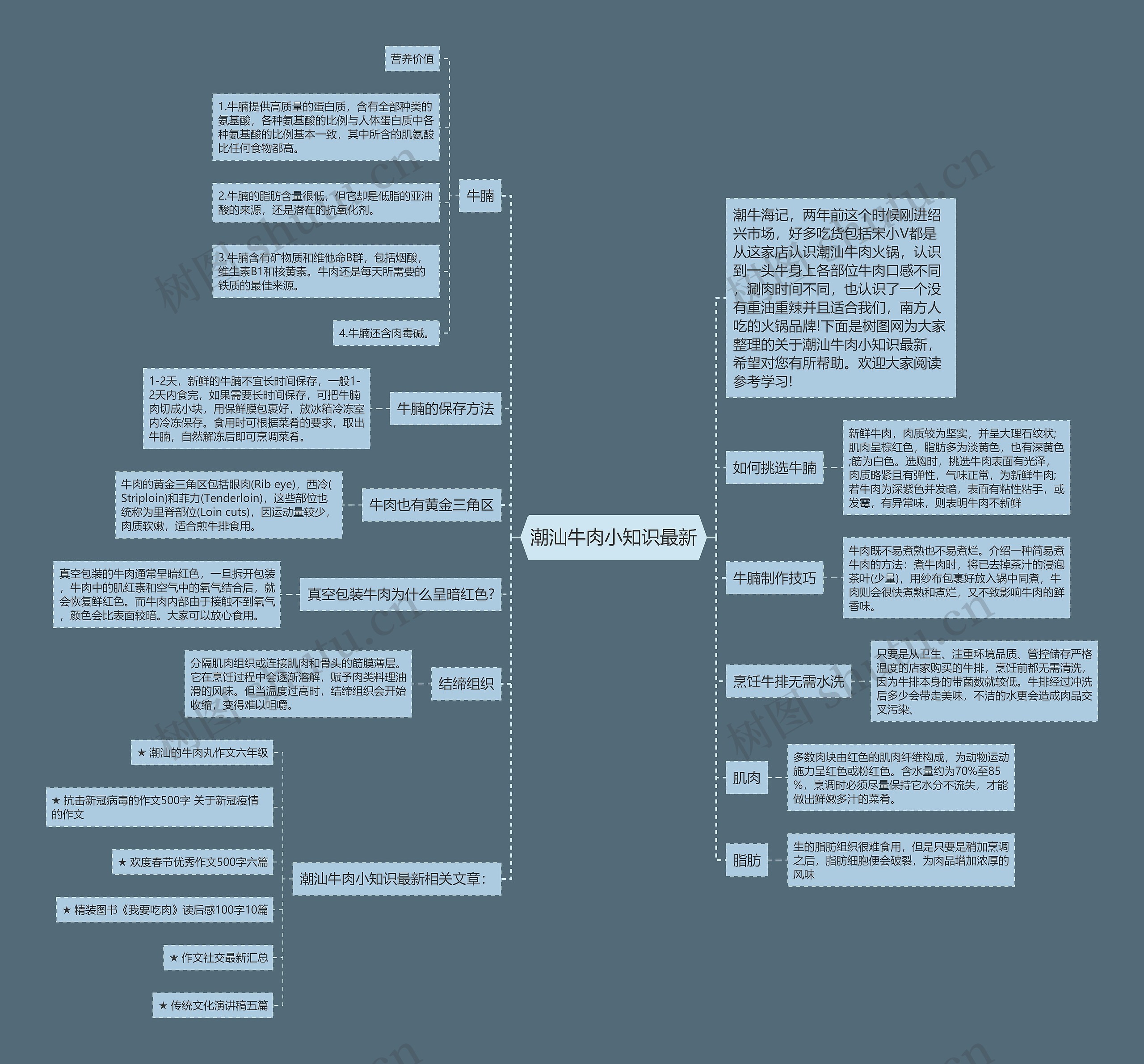 潮汕牛肉小知识最新思维导图