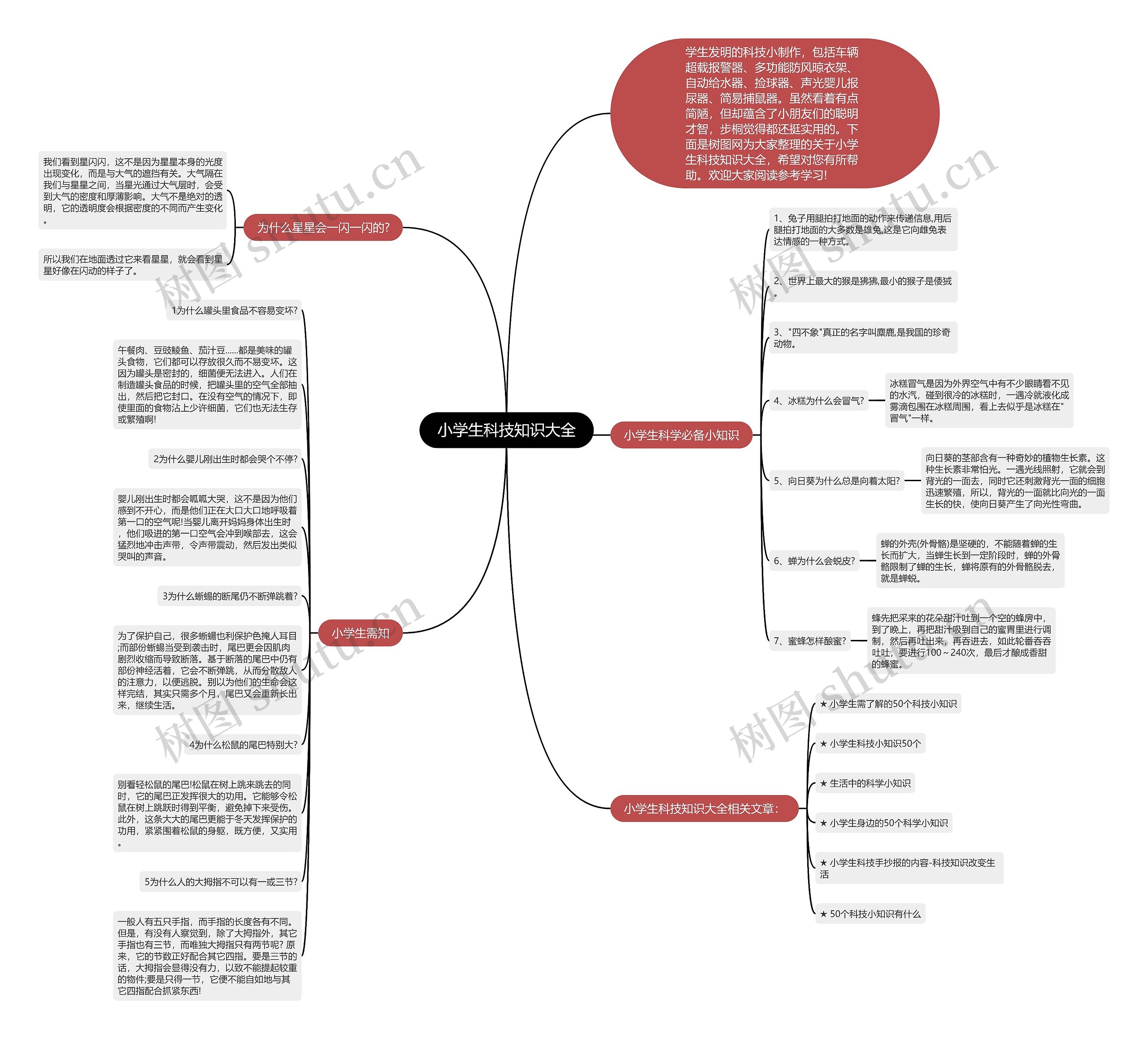 小学生科技知识大全思维导图