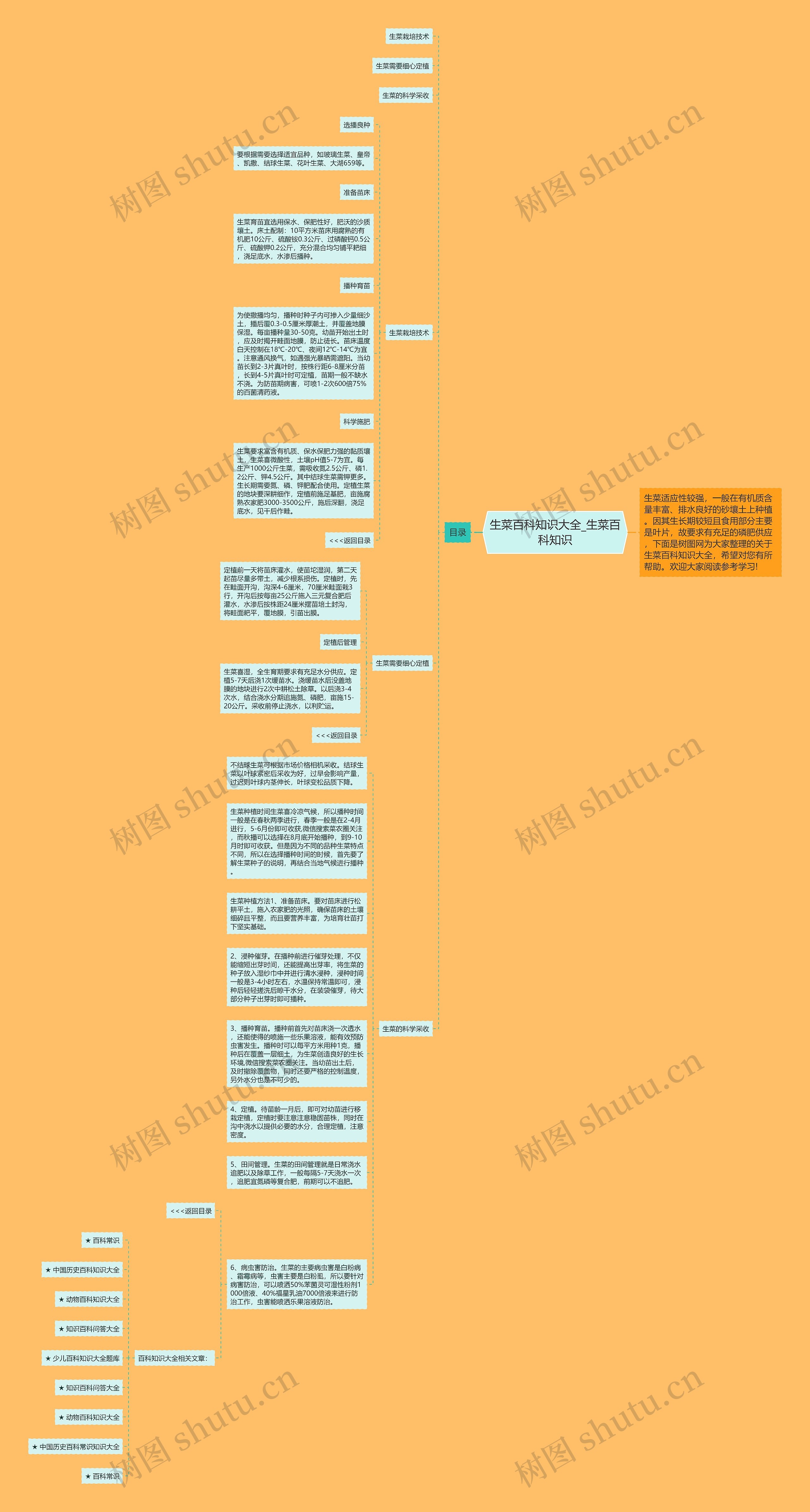 生菜百科知识大全_生菜百科知识思维导图