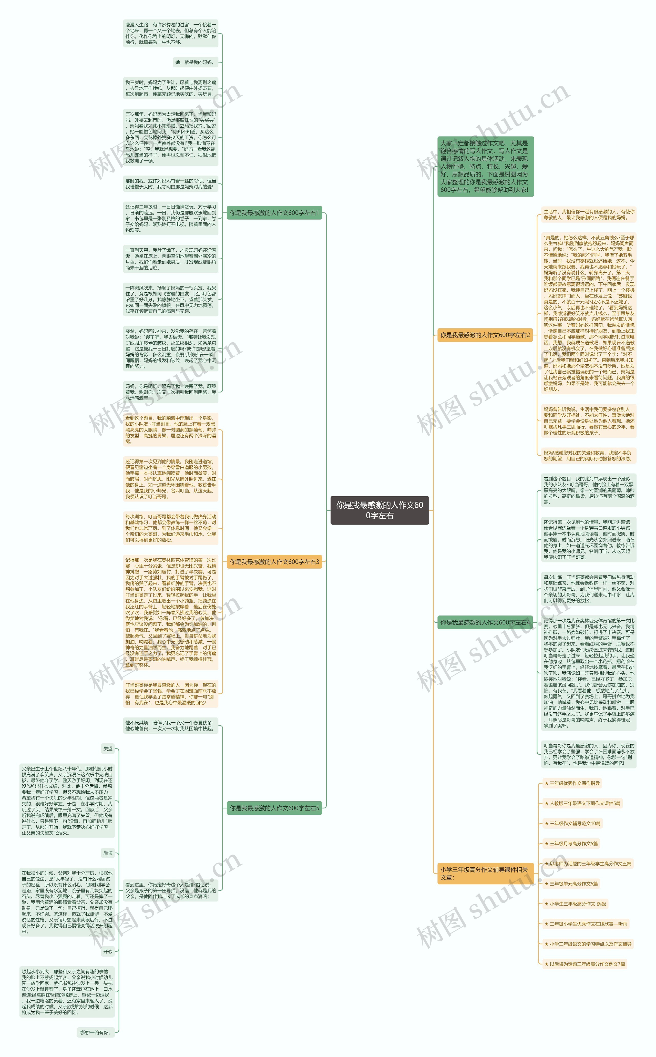 你是我最感激的人作文600字左右思维导图