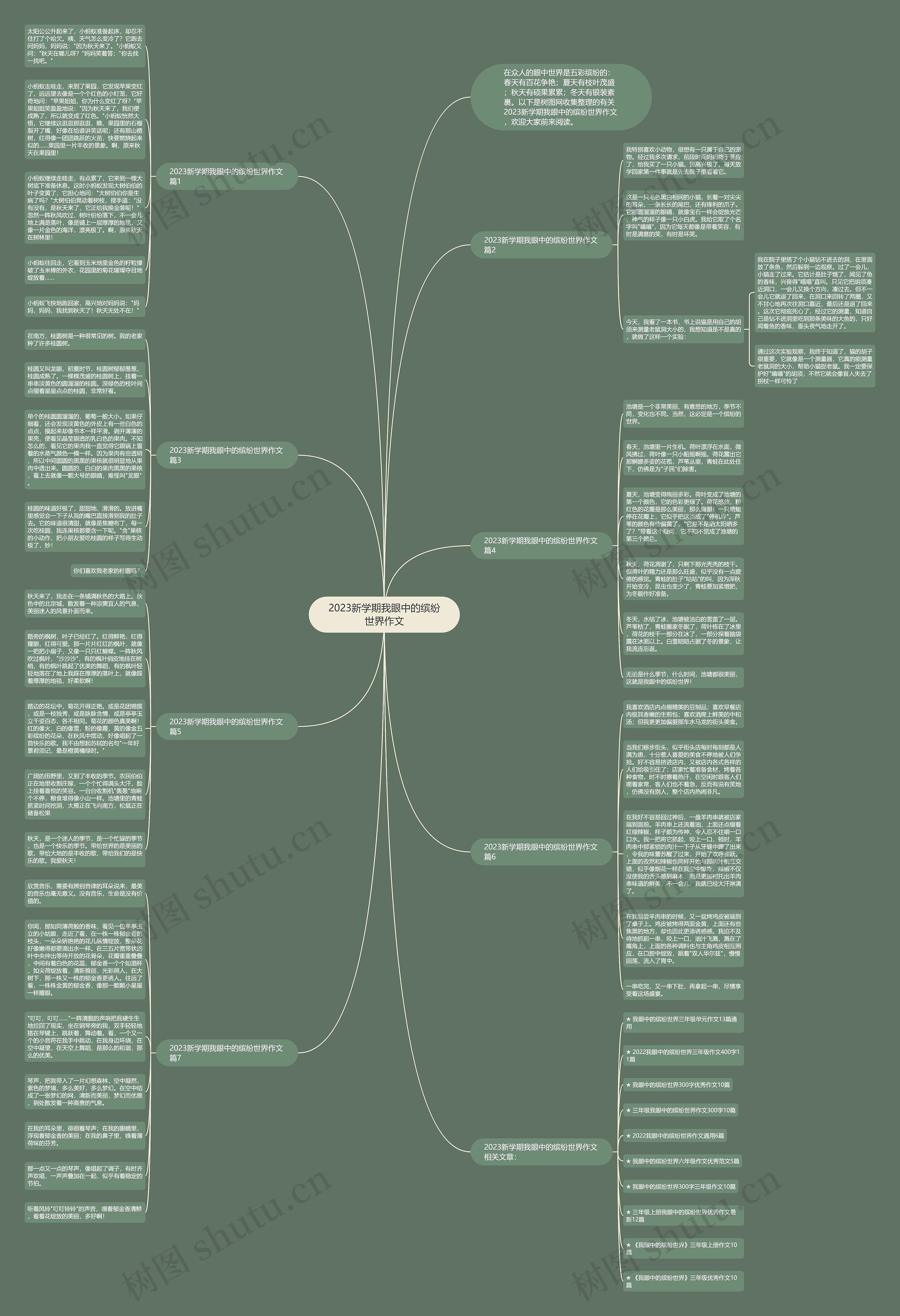 2023新学期我眼中的缤纷世界作文思维导图