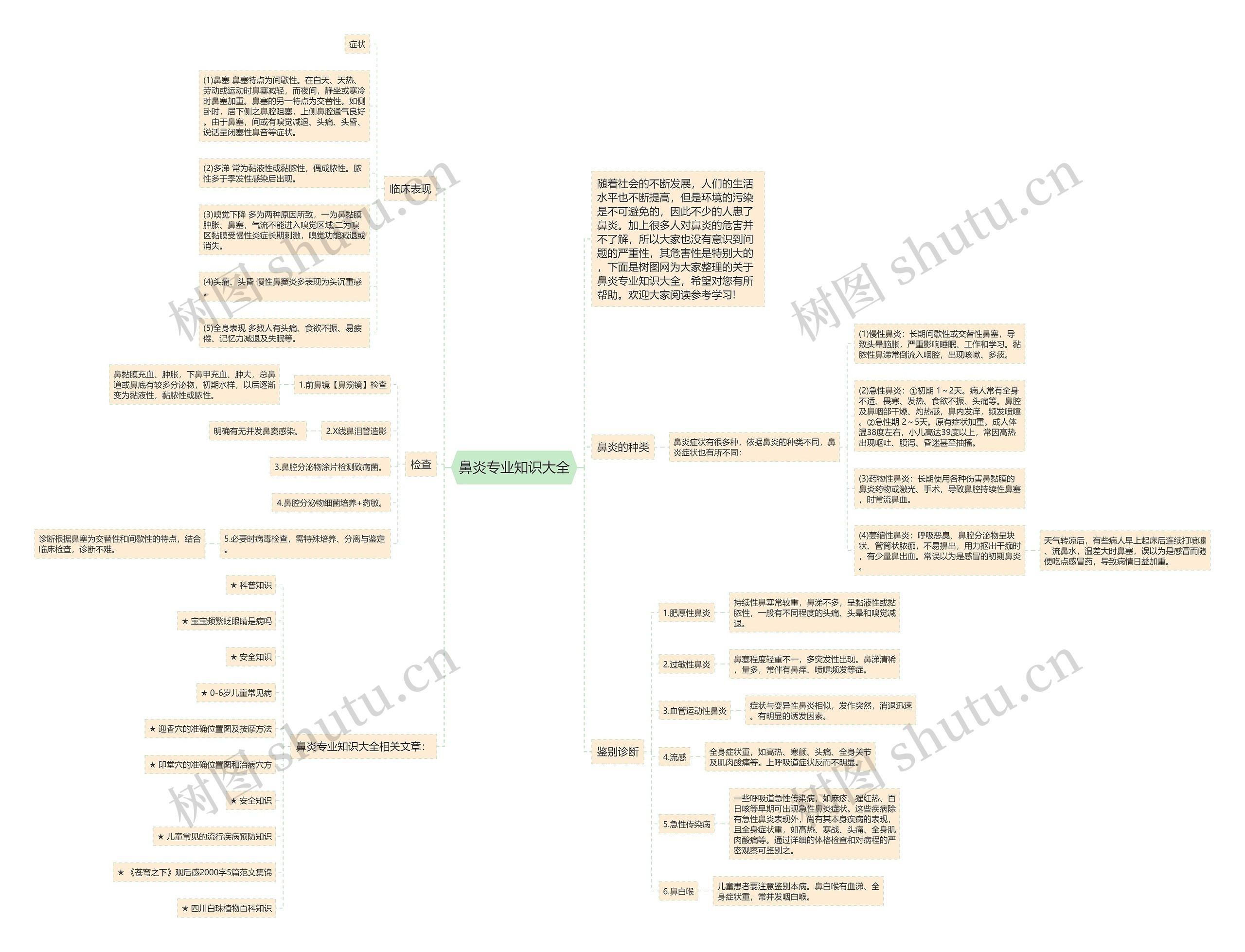 鼻炎专业知识大全思维导图
