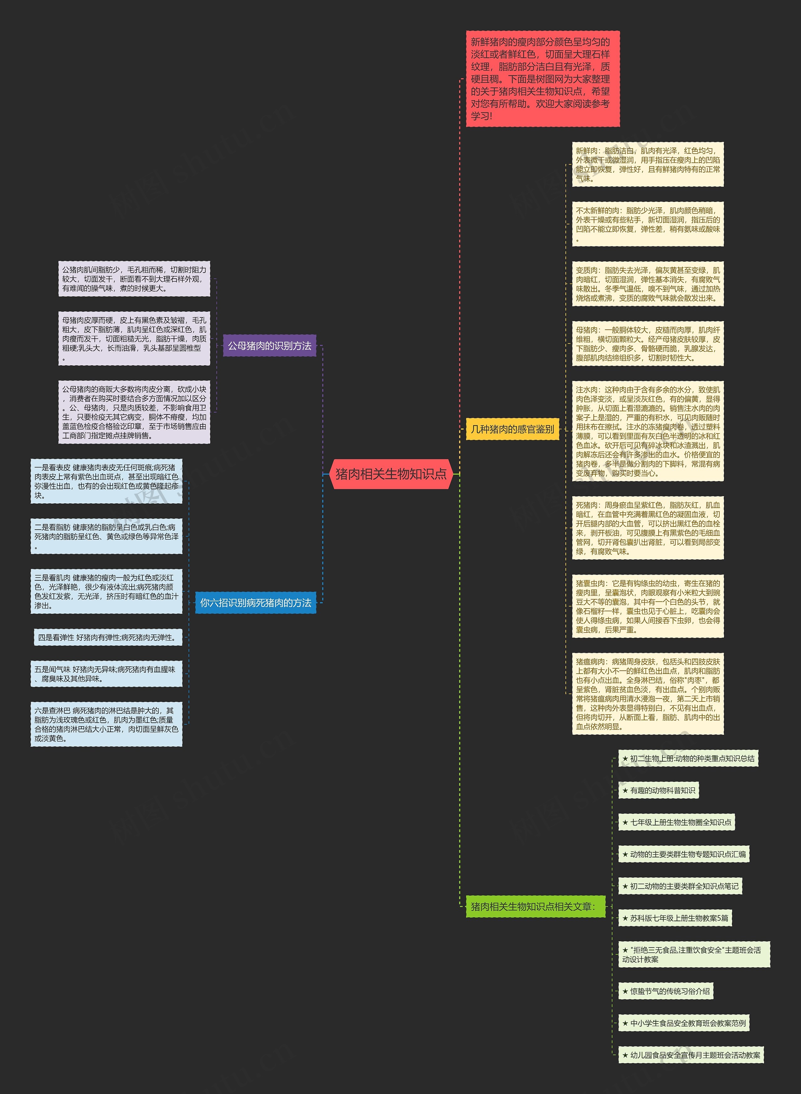 猪肉相关生物知识点思维导图
