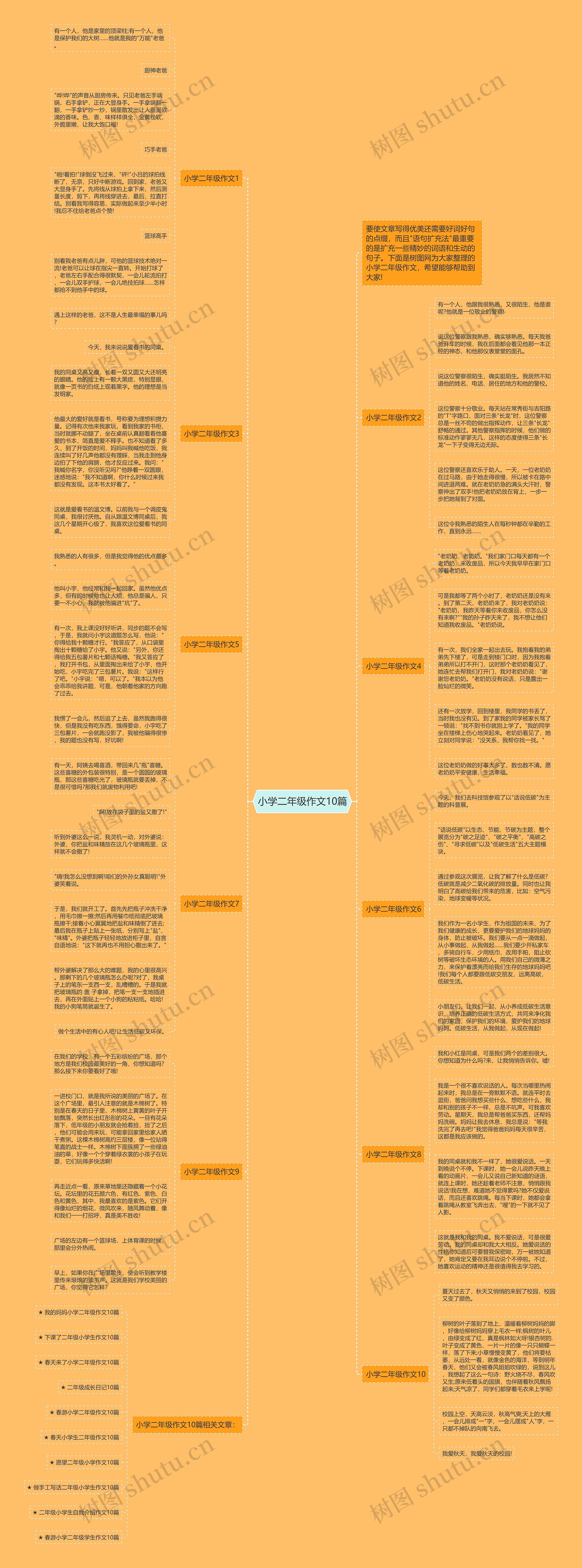 小学二年级作文10篇思维导图