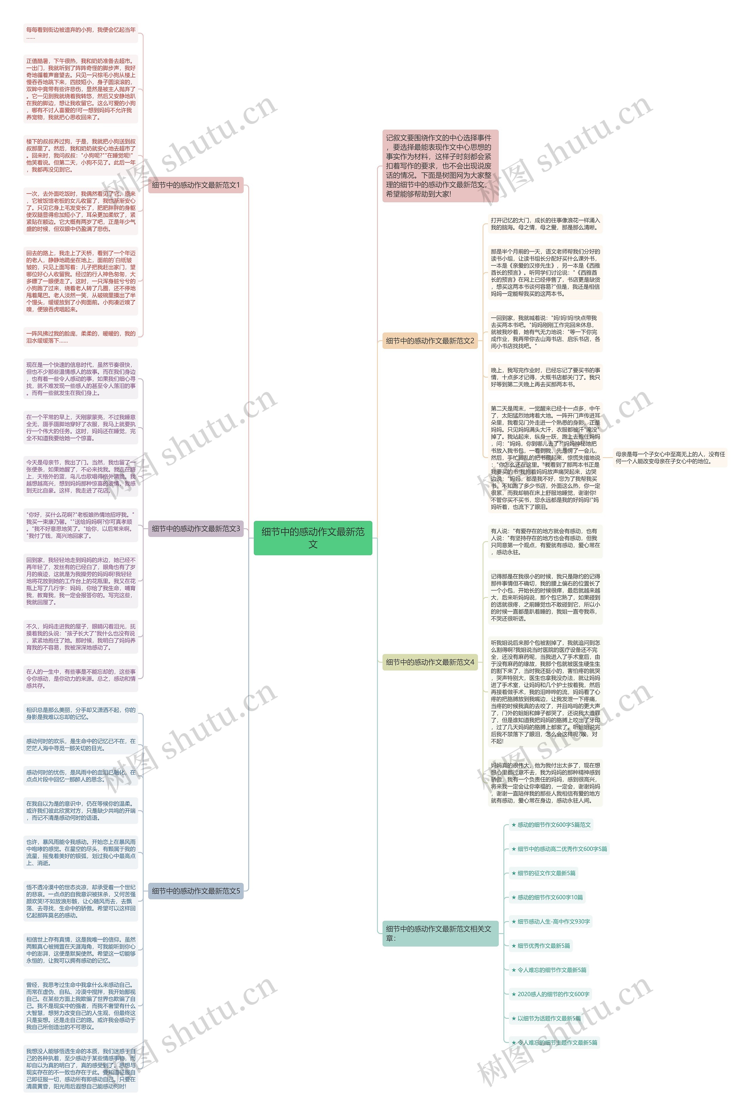 细节中的感动作文最新范文思维导图